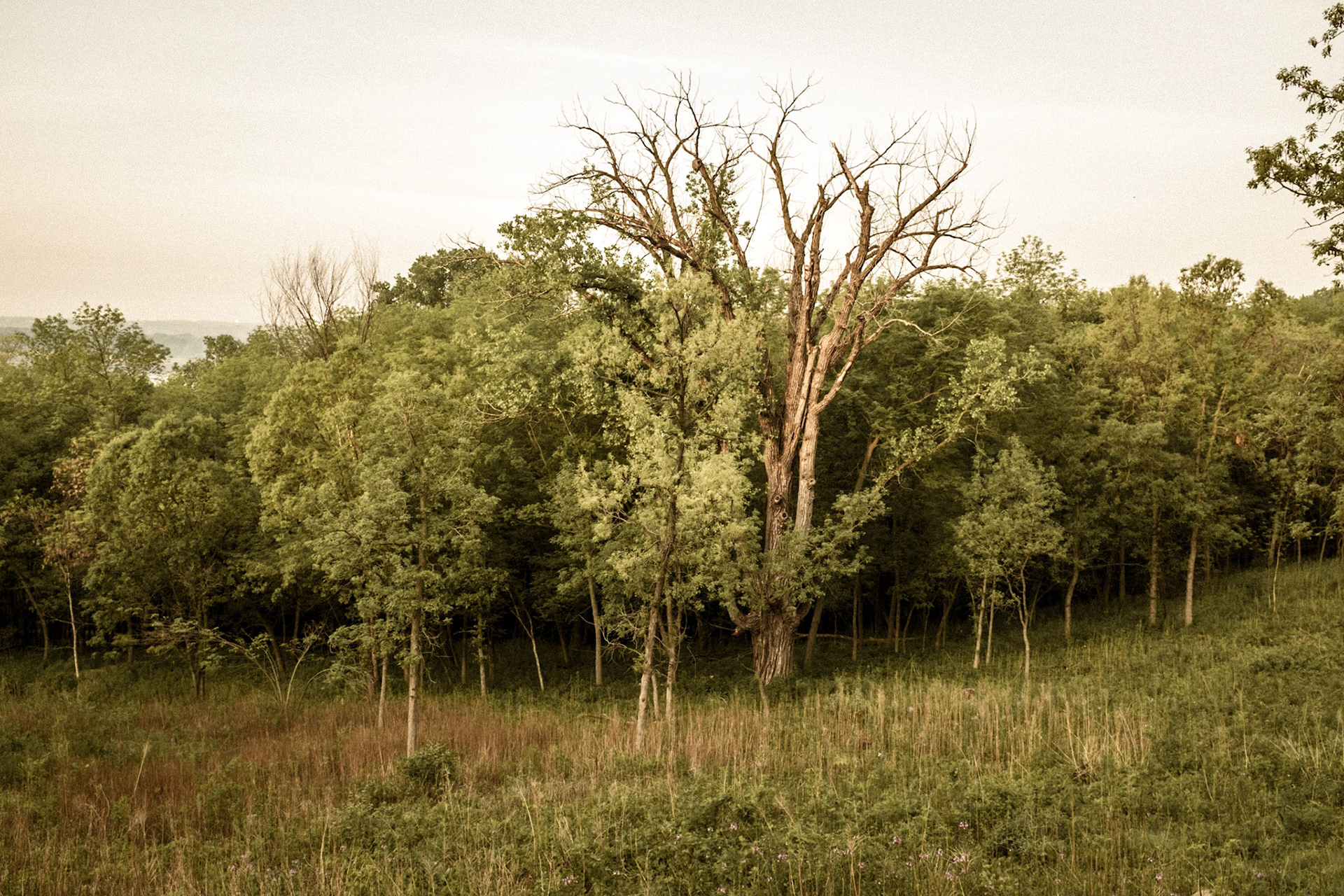 Minnesota Valley National Wildlife Refuge, 2014-1858
