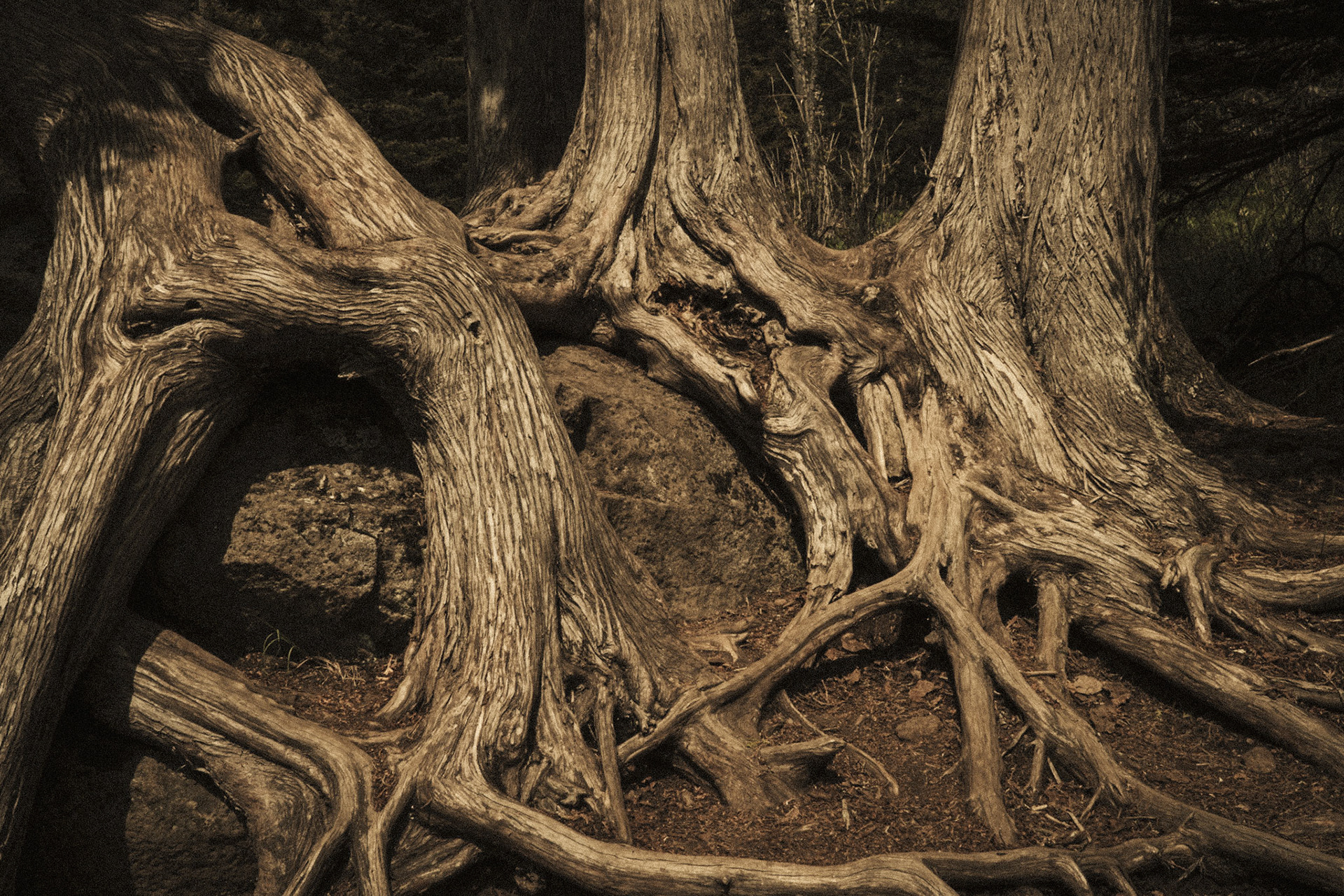 North Shore Lake Superior