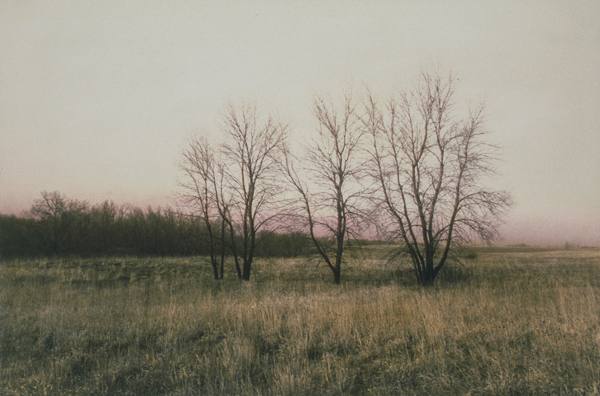 Shaefer Prairie, McLeod County, Minnesota. Nature Conservancy
