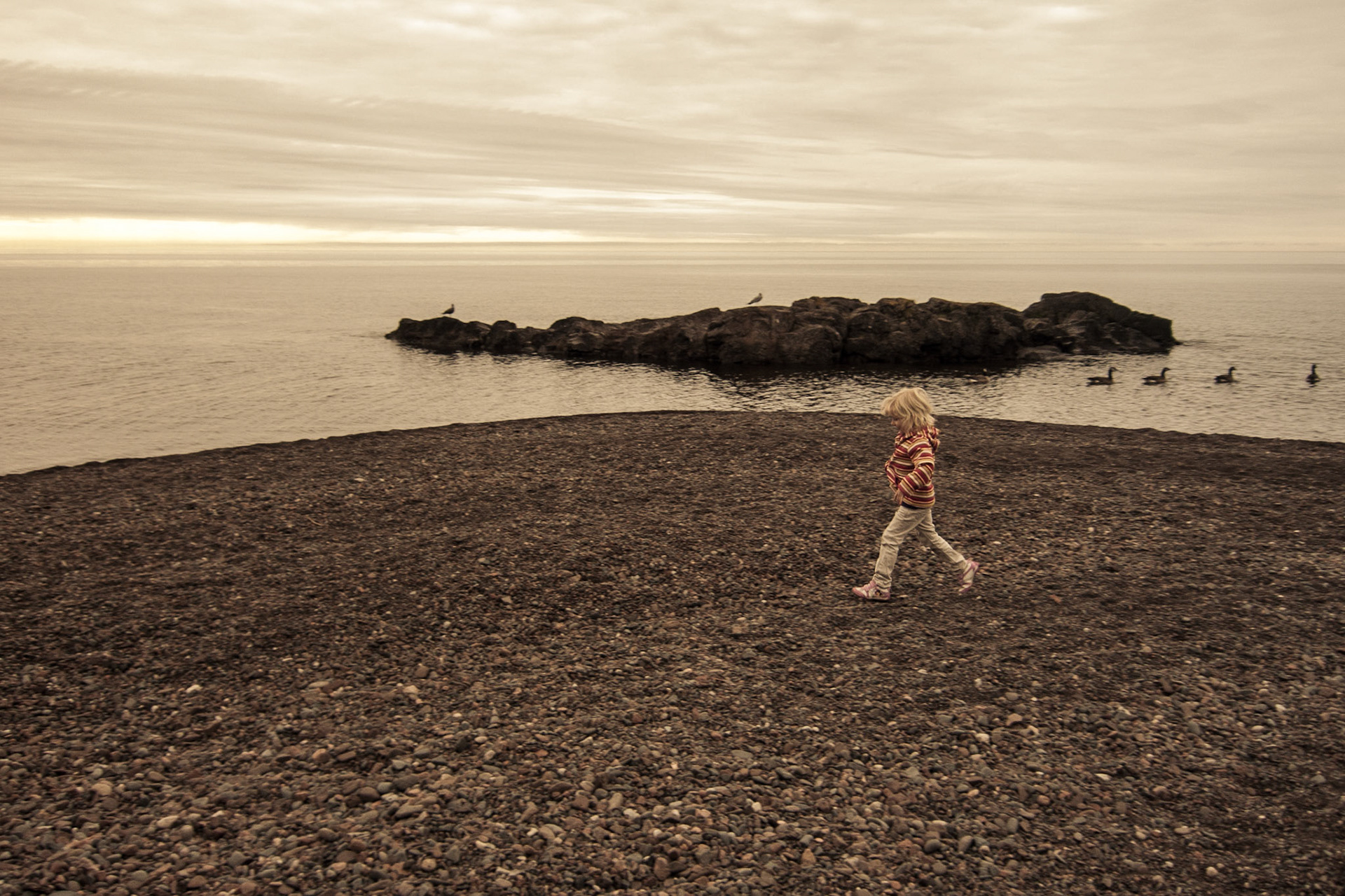 North Shore of Lake Superior, Seagulls, Haley, Ducks