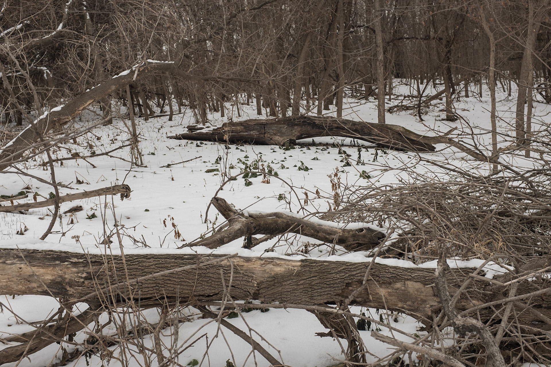 Fort Snelling State Park, St. Paul, MN