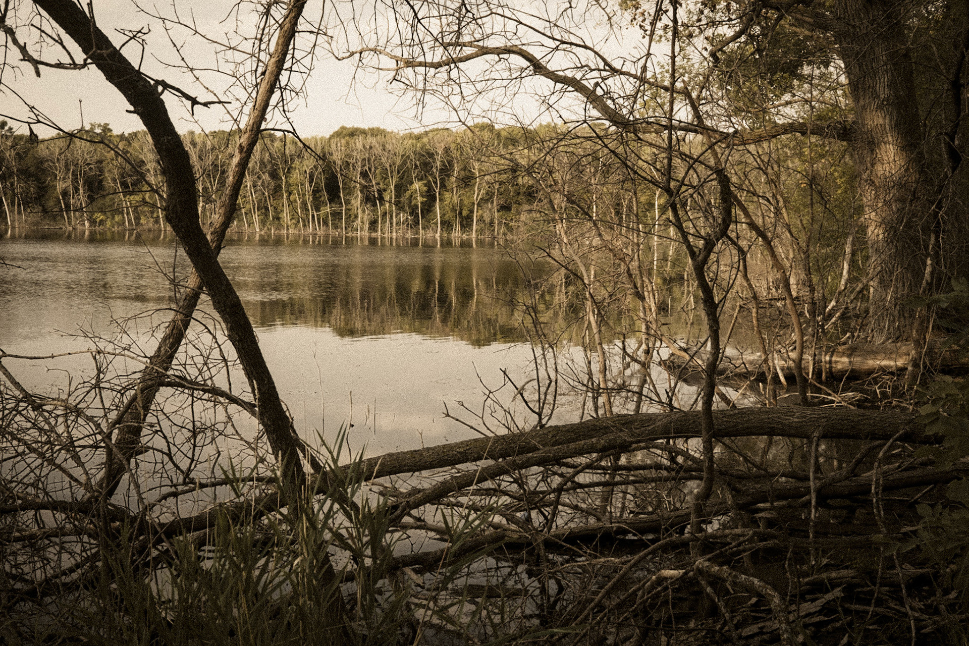 Hogs Back Slough, Dickinson County, Iowa