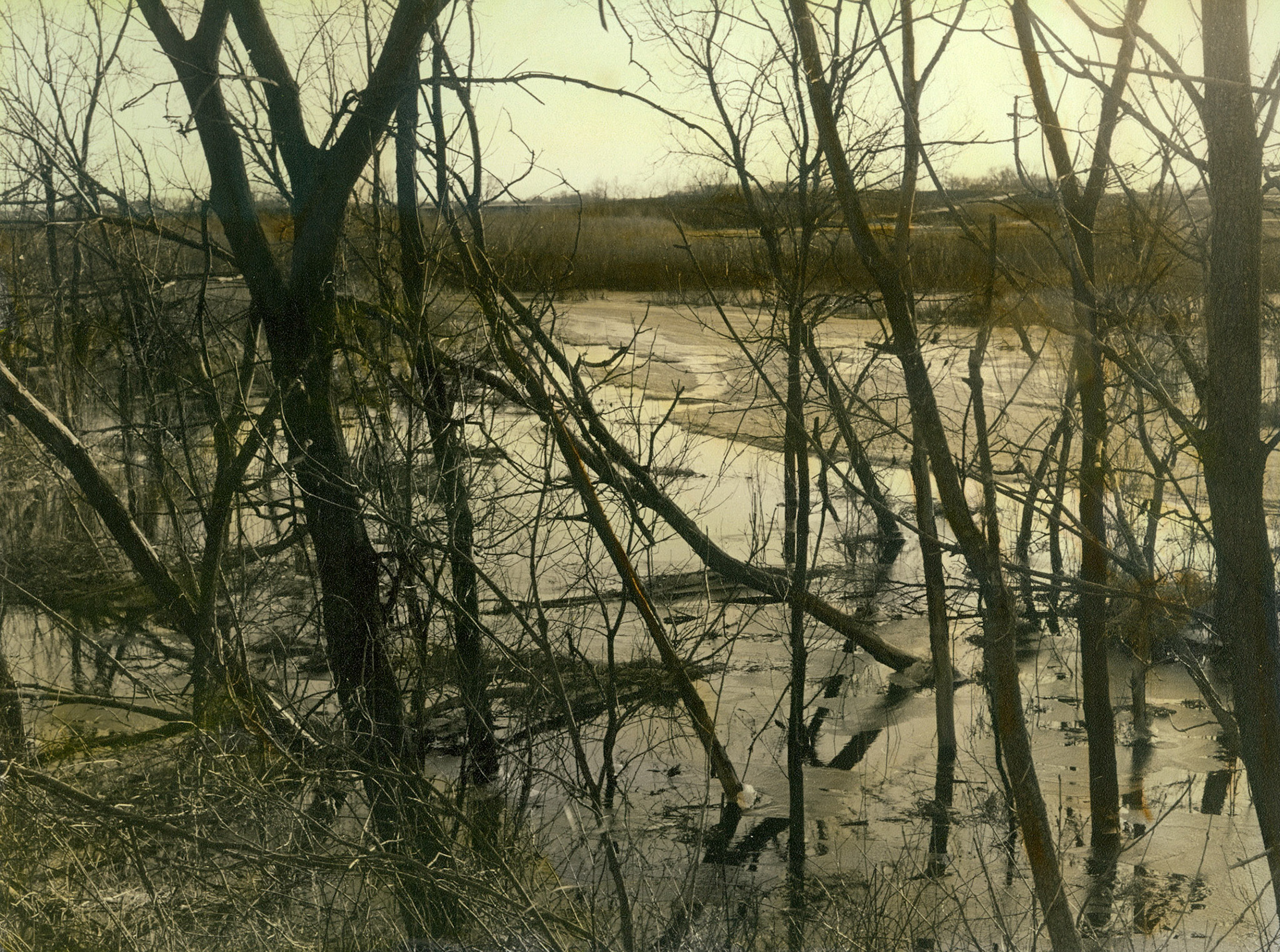 Schaefer Prairie, Minnesota