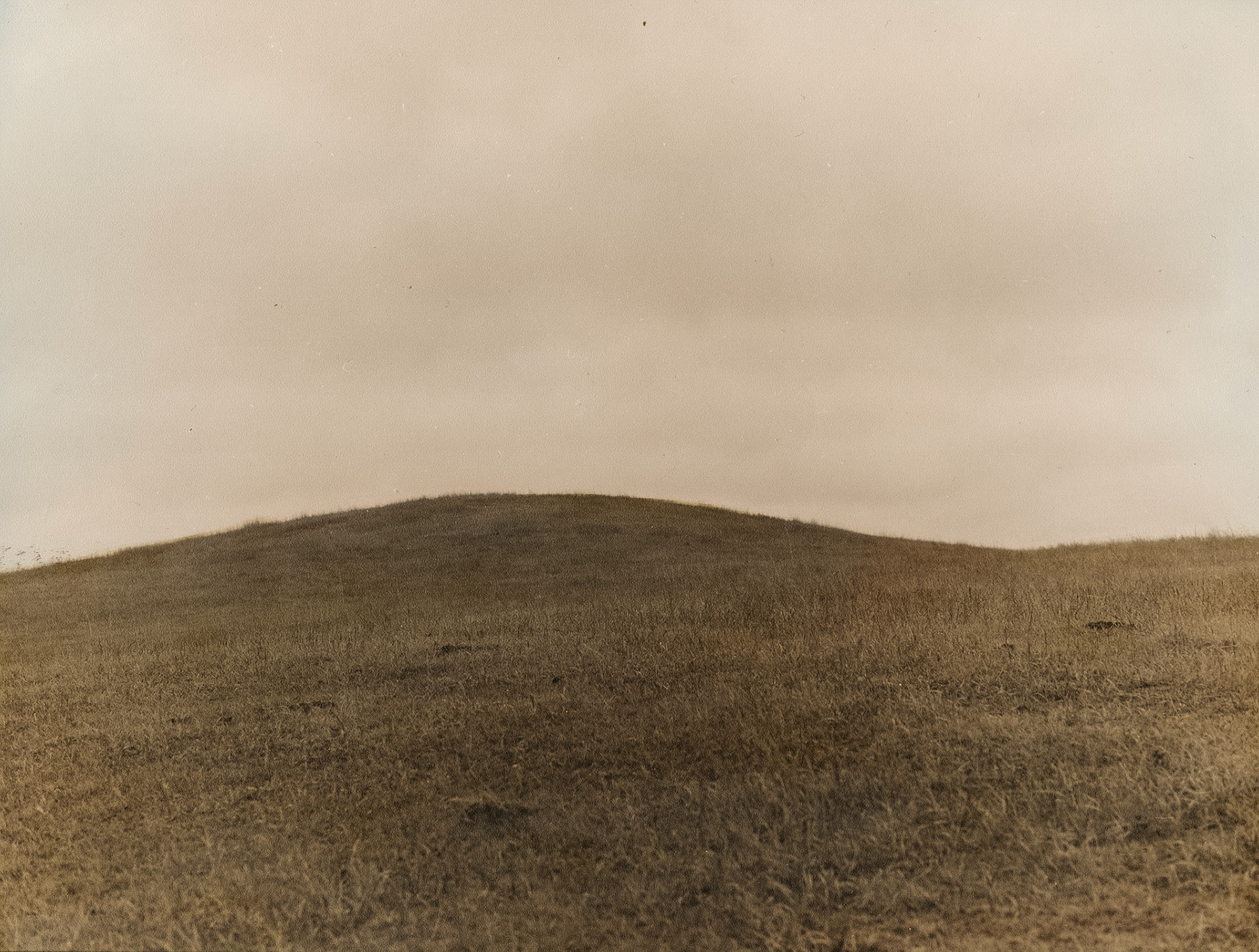 Minneota Township, Jackson County, Minnesota