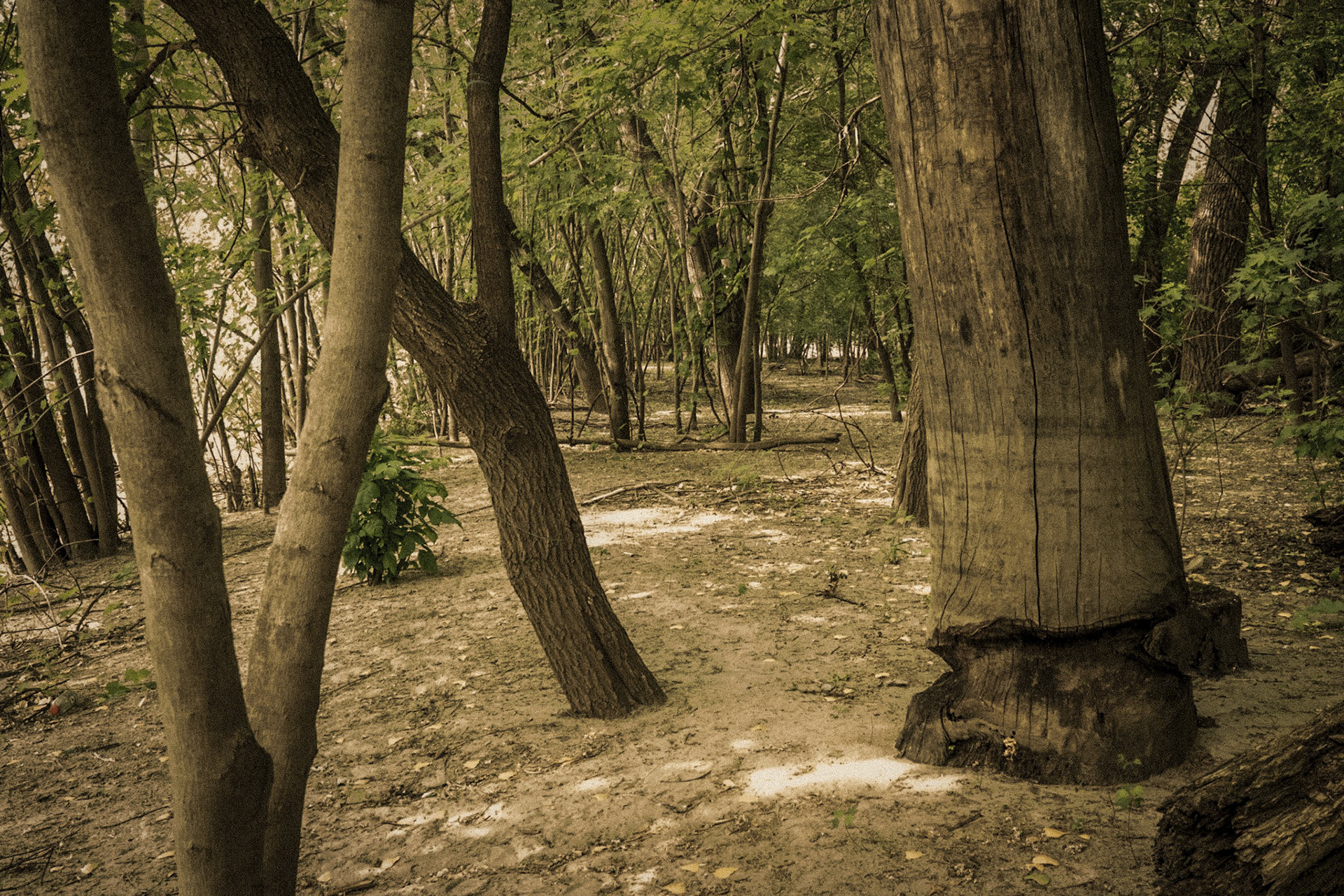 Mississippi National River Area, St. Paul, MN