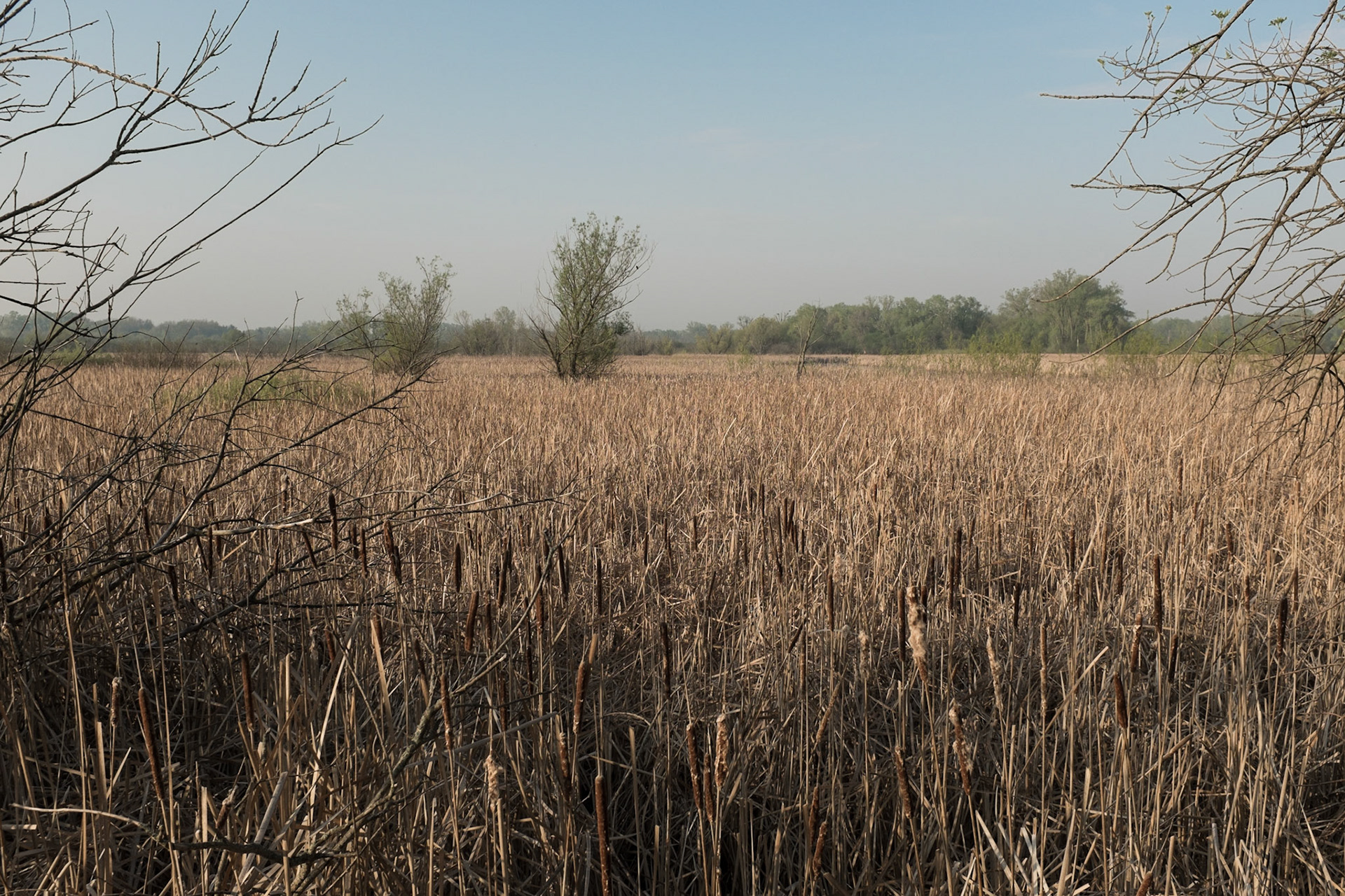 University of Wisconsin Arboretum, Madison, WI