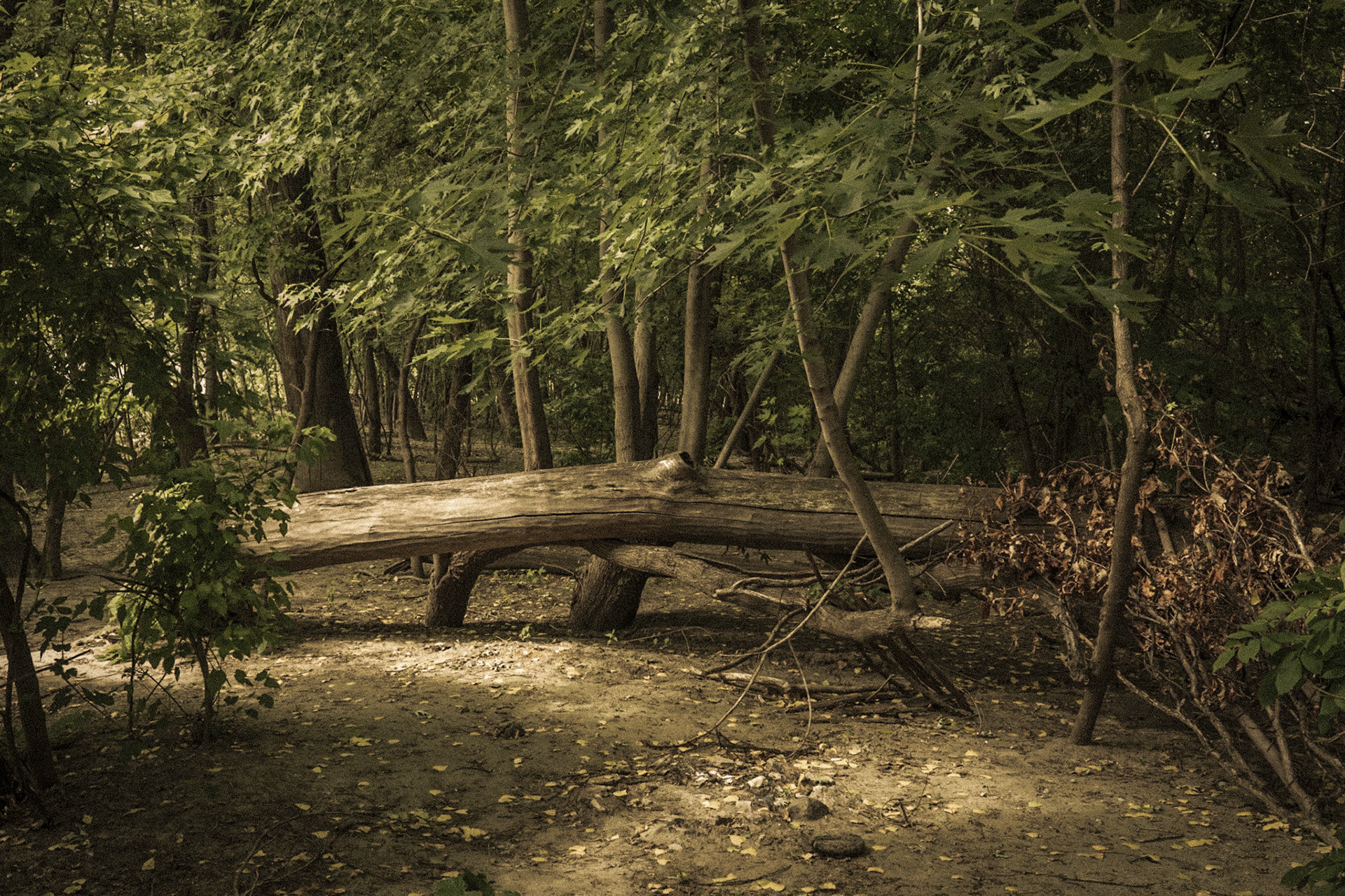 Mississippi National River Area, St. Paul, MN