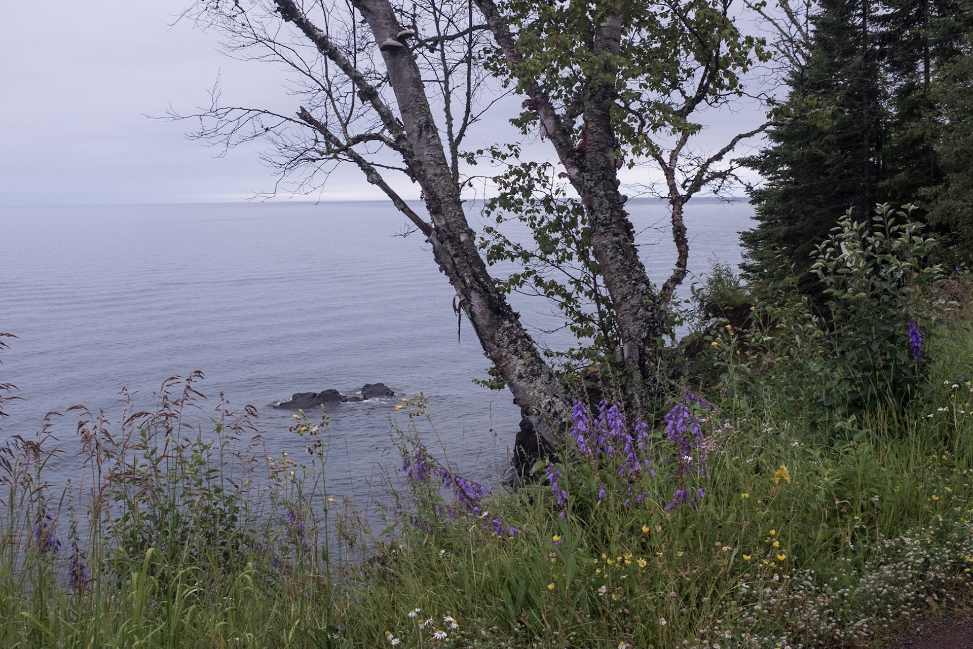 Elsie's Cabins on Croftville Road, Grand Marais, MN