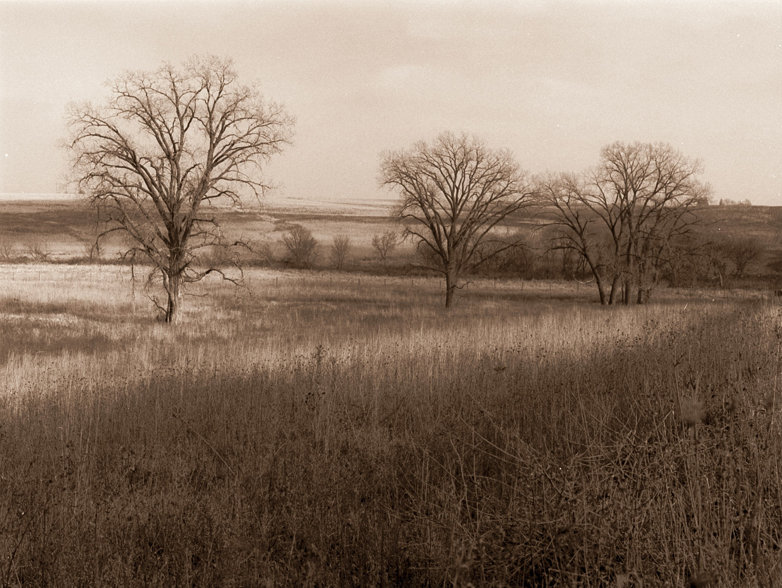 Neal Smith National Wildlife Refuge, Iowa