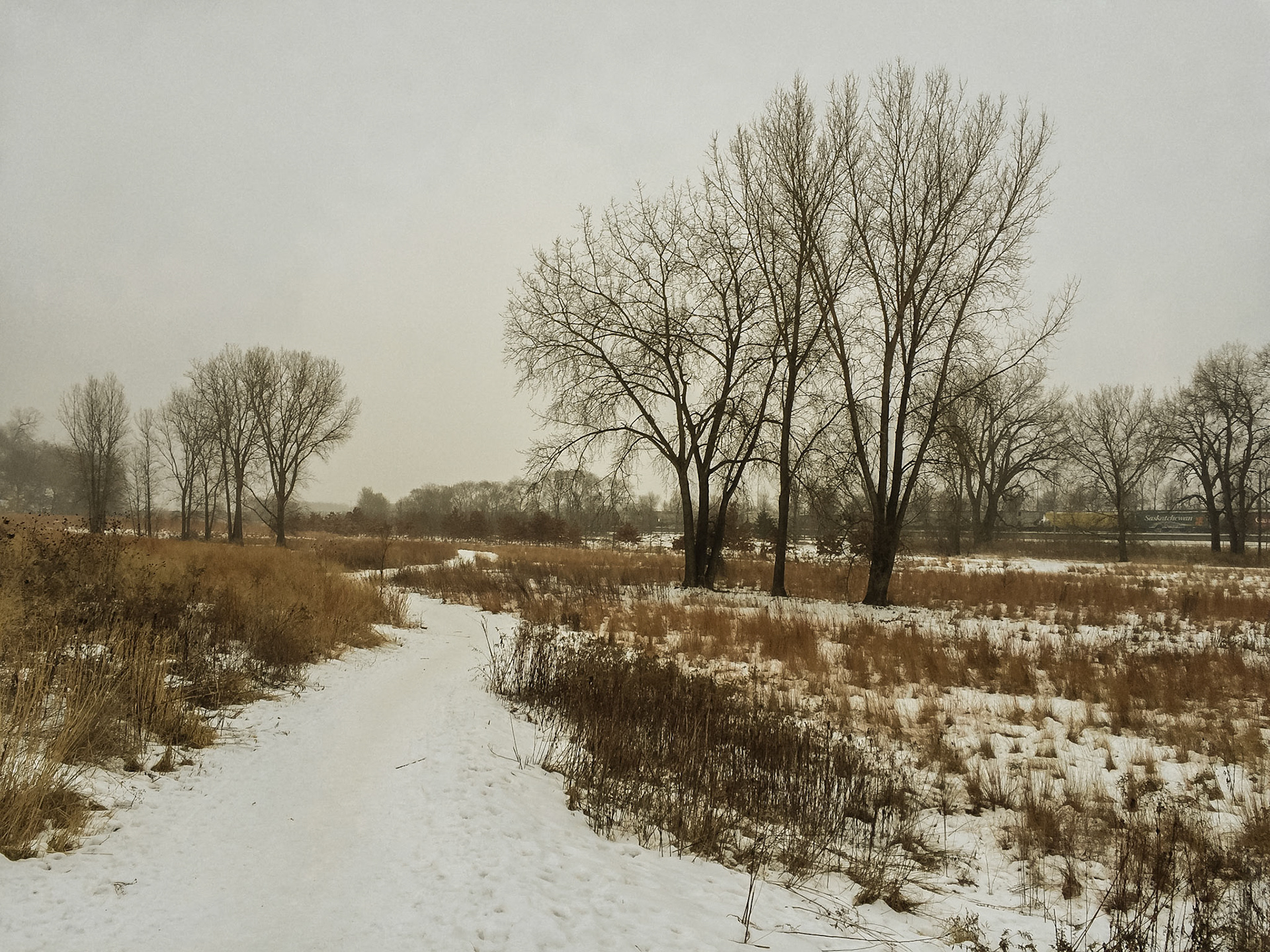 Bruce VEnto Nature Sanctuary, Saint Paul, MN