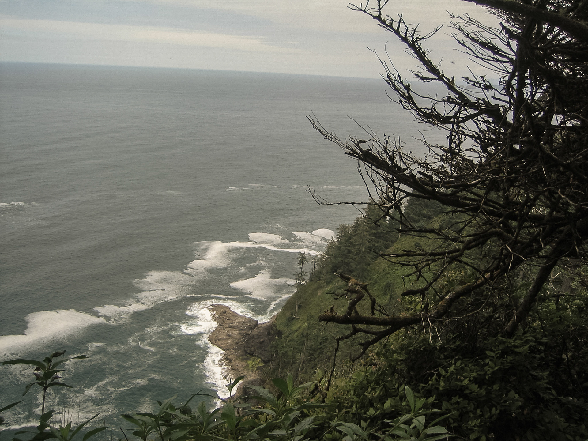 Oregon Coast
