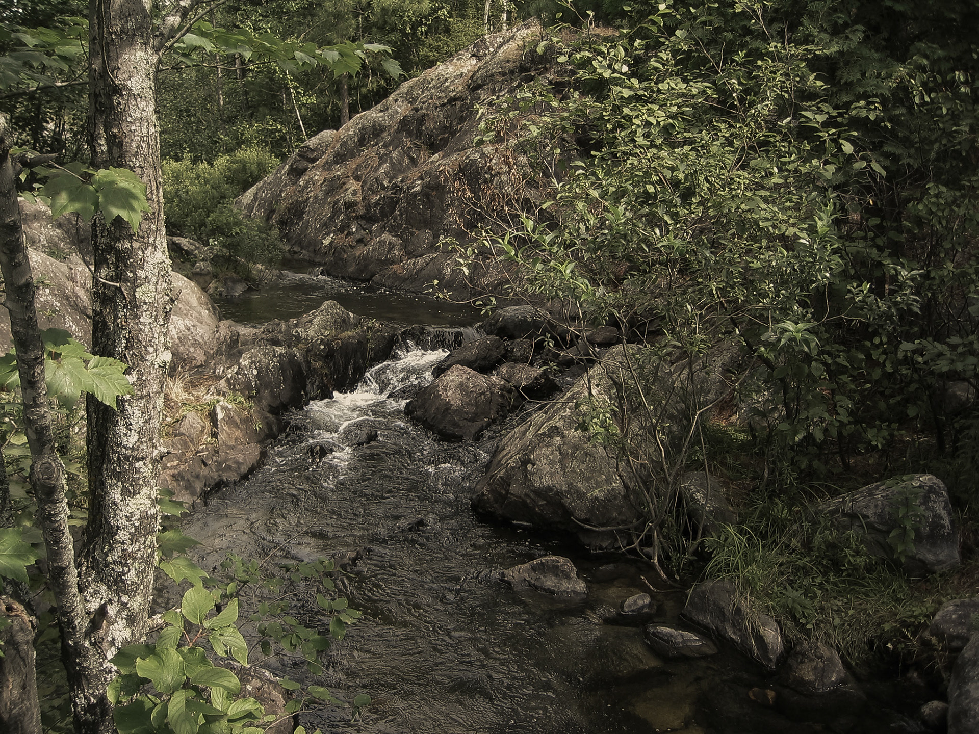 East of Ely, Minnesota