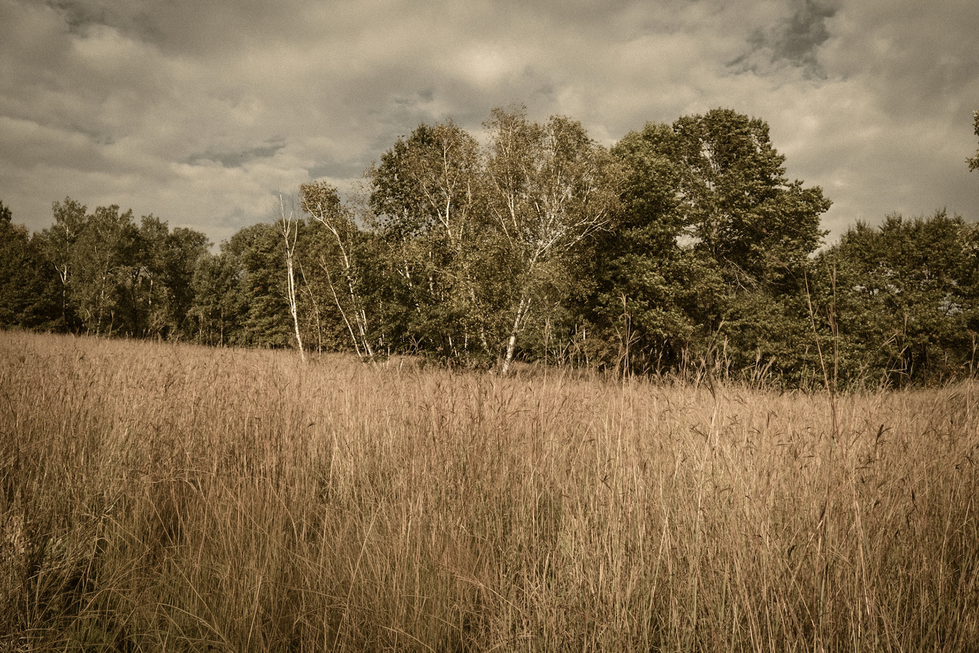 Leganon Hills Regional Park, Dakota County, Minnesota, 2025-4997