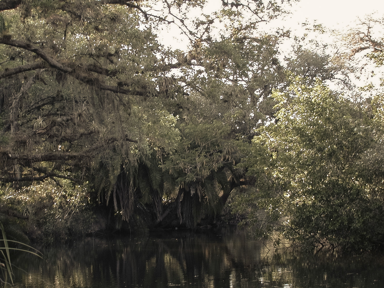 Fort Myers, Florida
