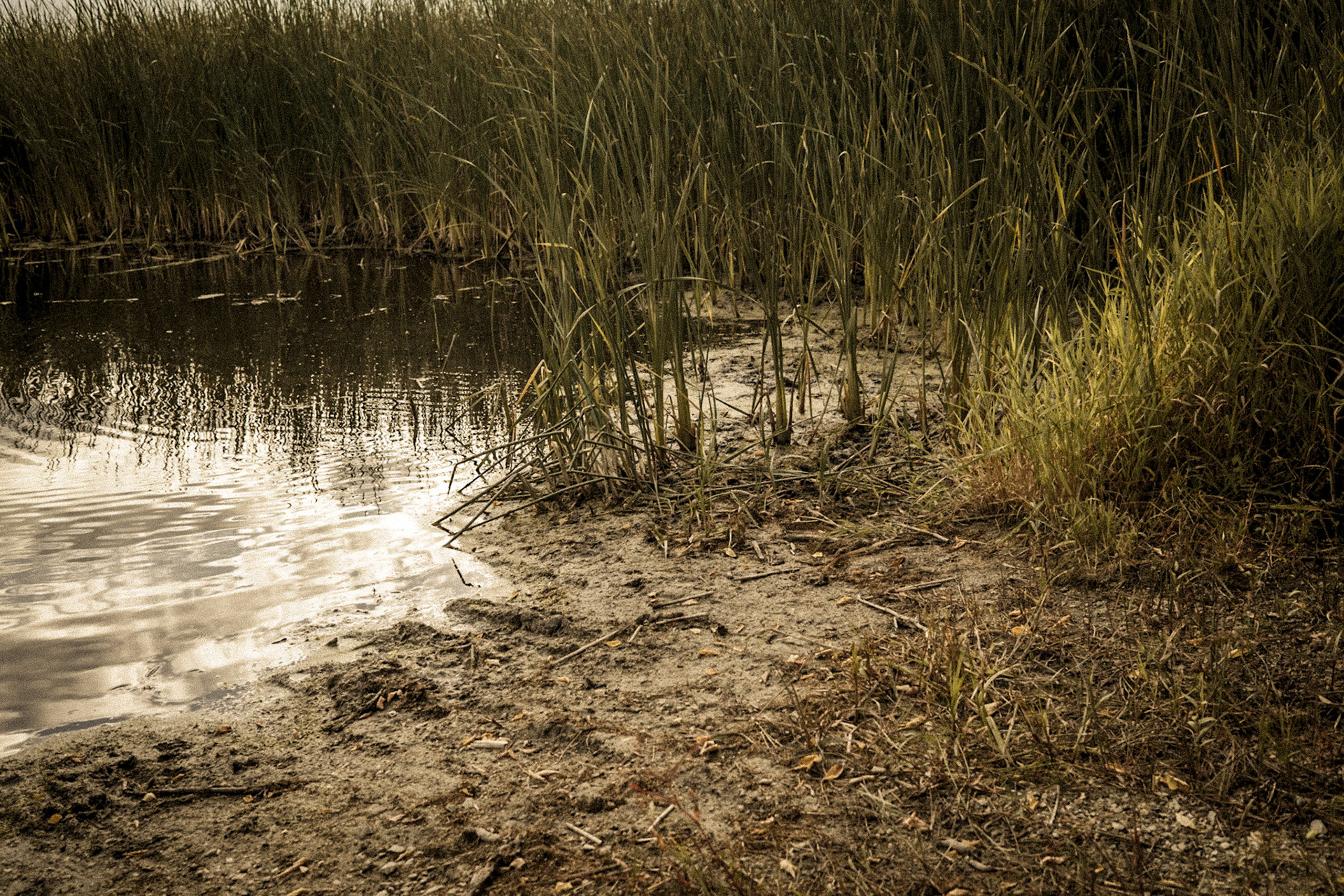 Grovers Lake, Minnesota
