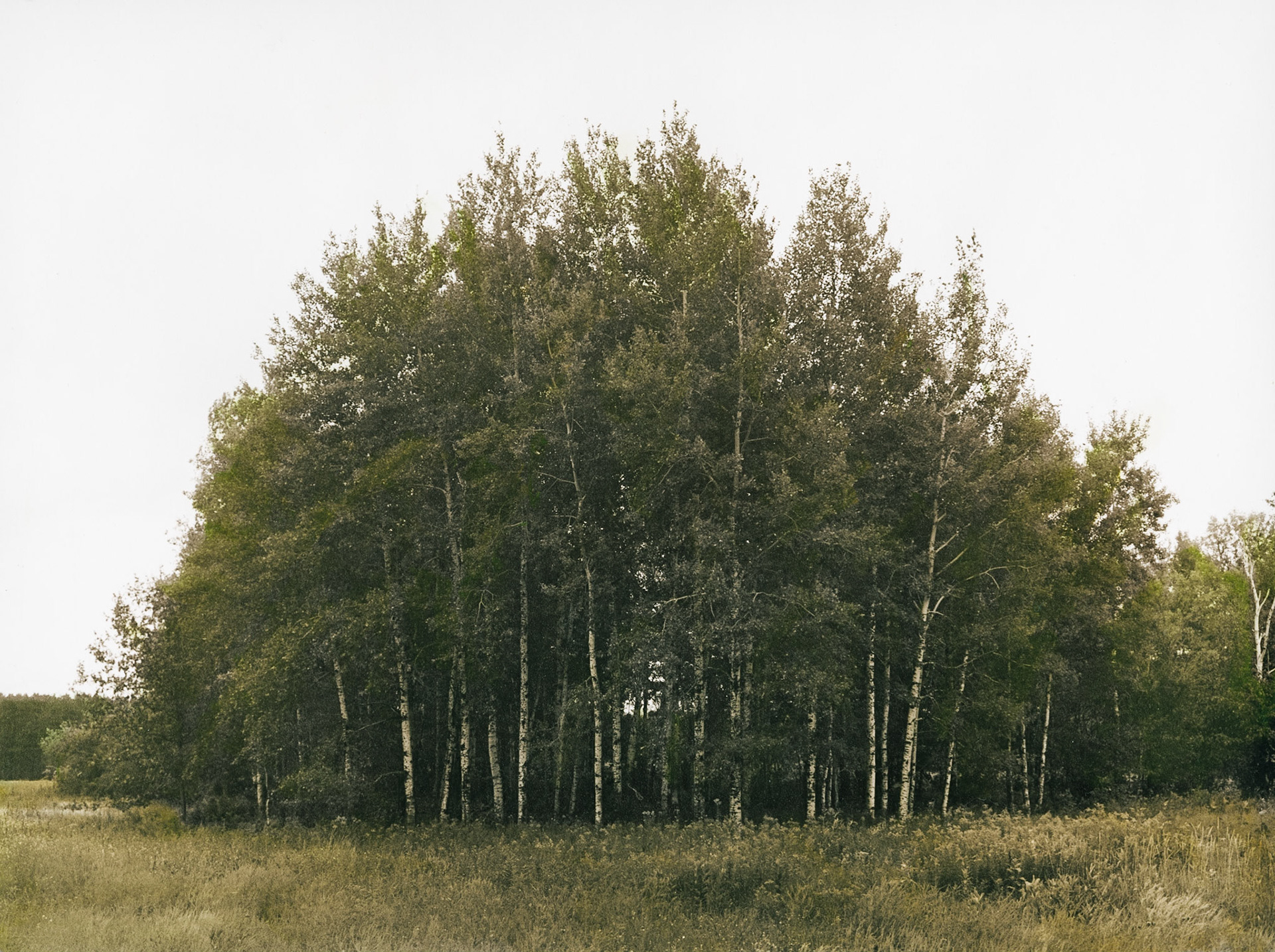 North West Company Fur Post, Minnesota