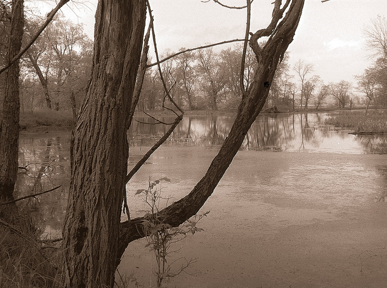 Landscape, Minnesota