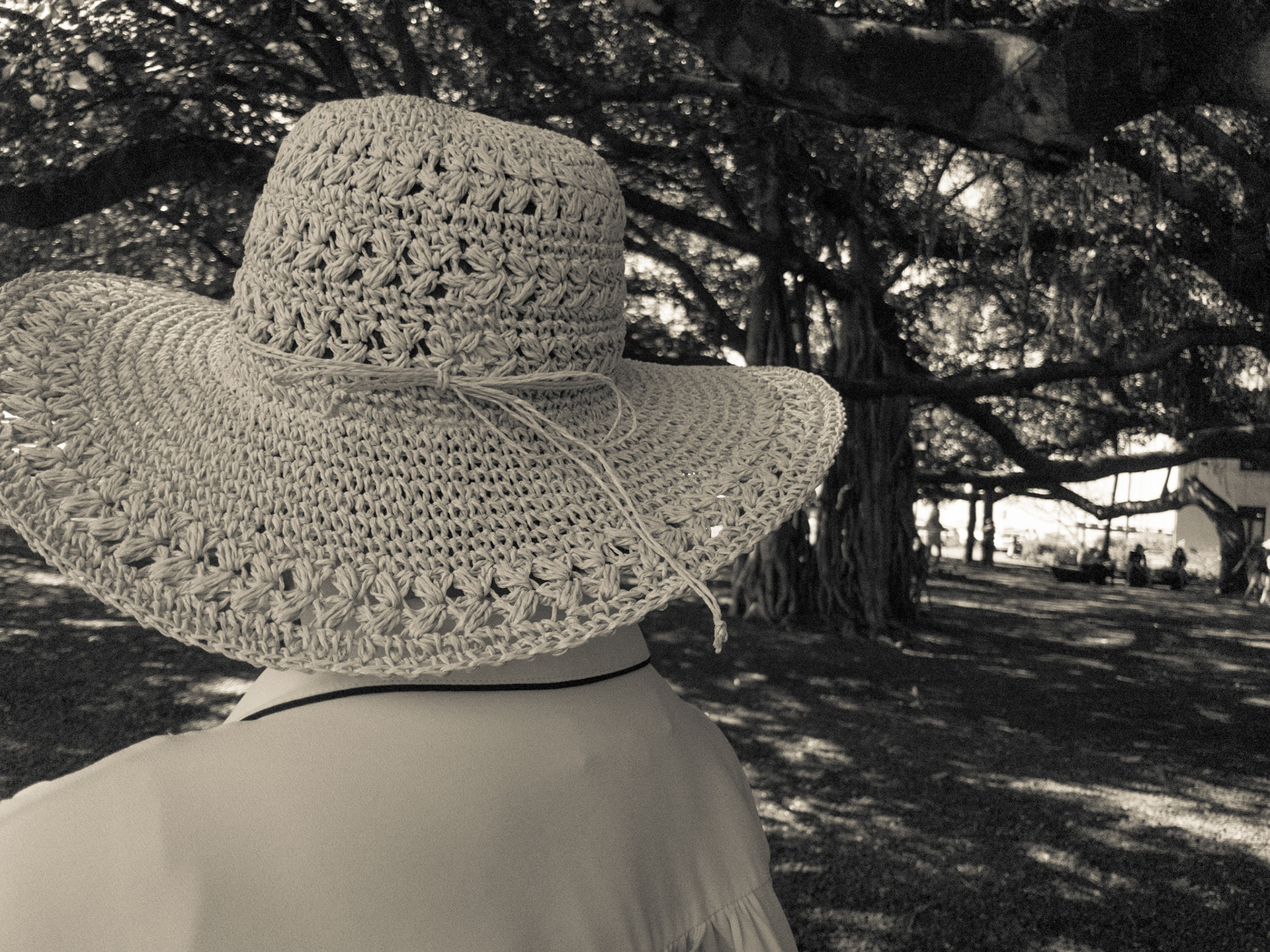 Lahaina Banyan Court, Lahaina, Hawaii