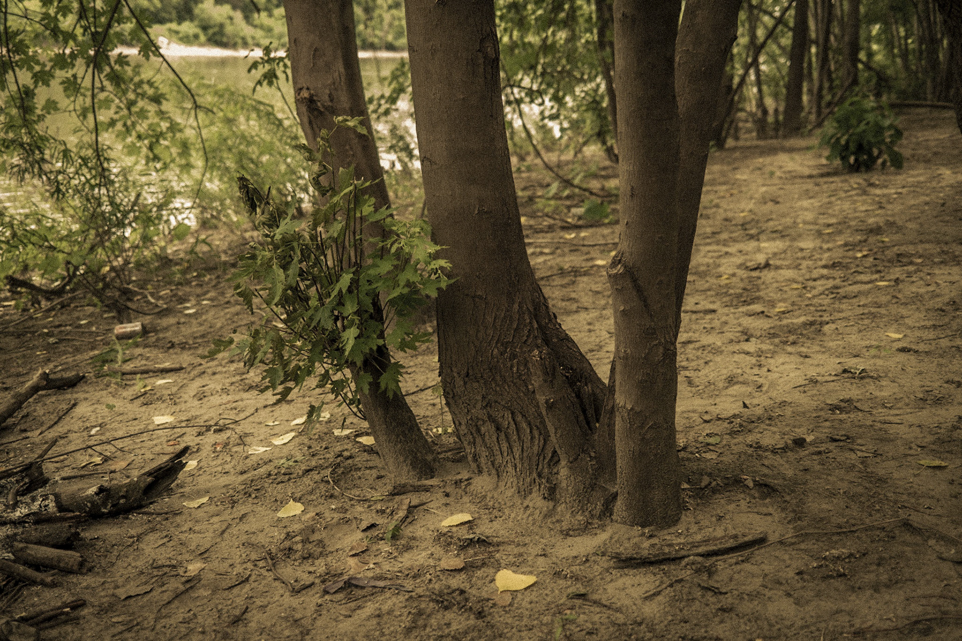 Mississippi National River Area, St. Paul, MN