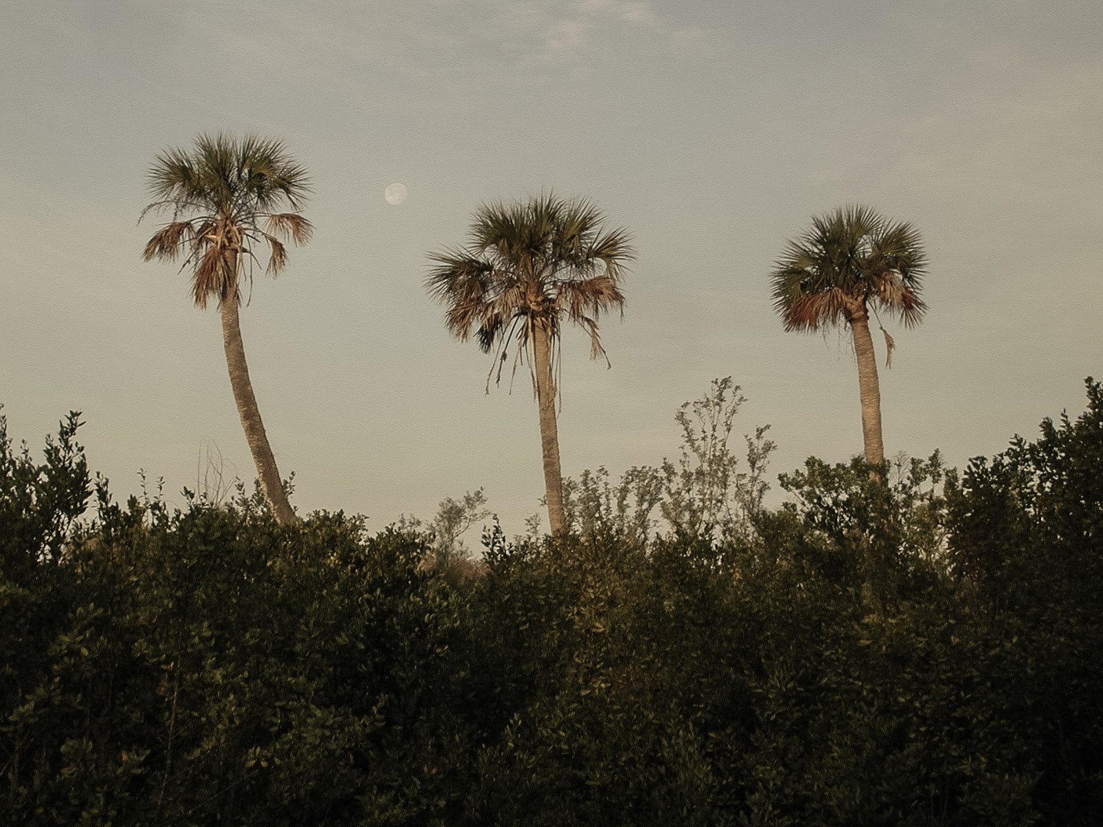 Fort Myers, Florida