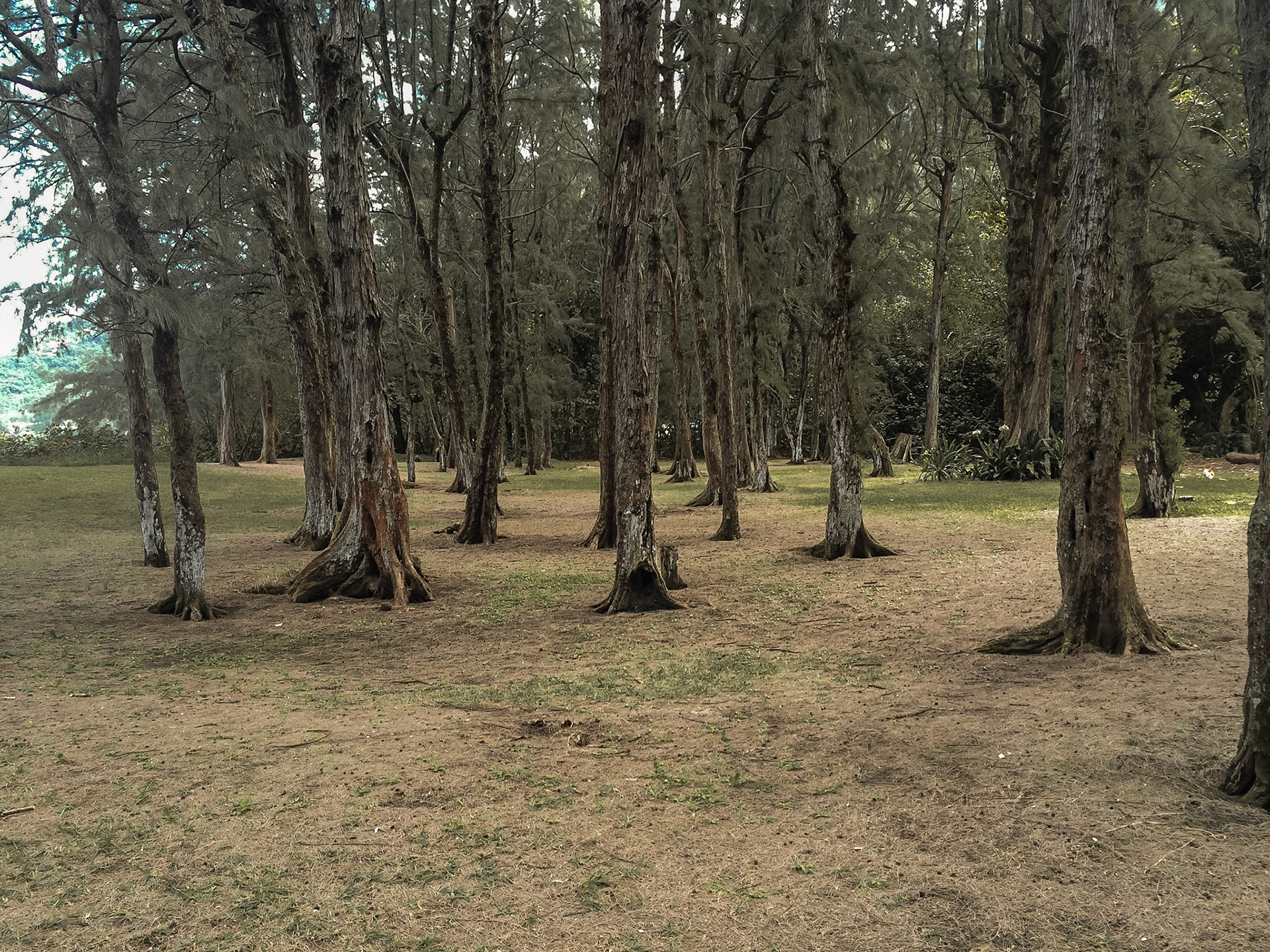 Swanzy Beach Park, Oahu Island, HI