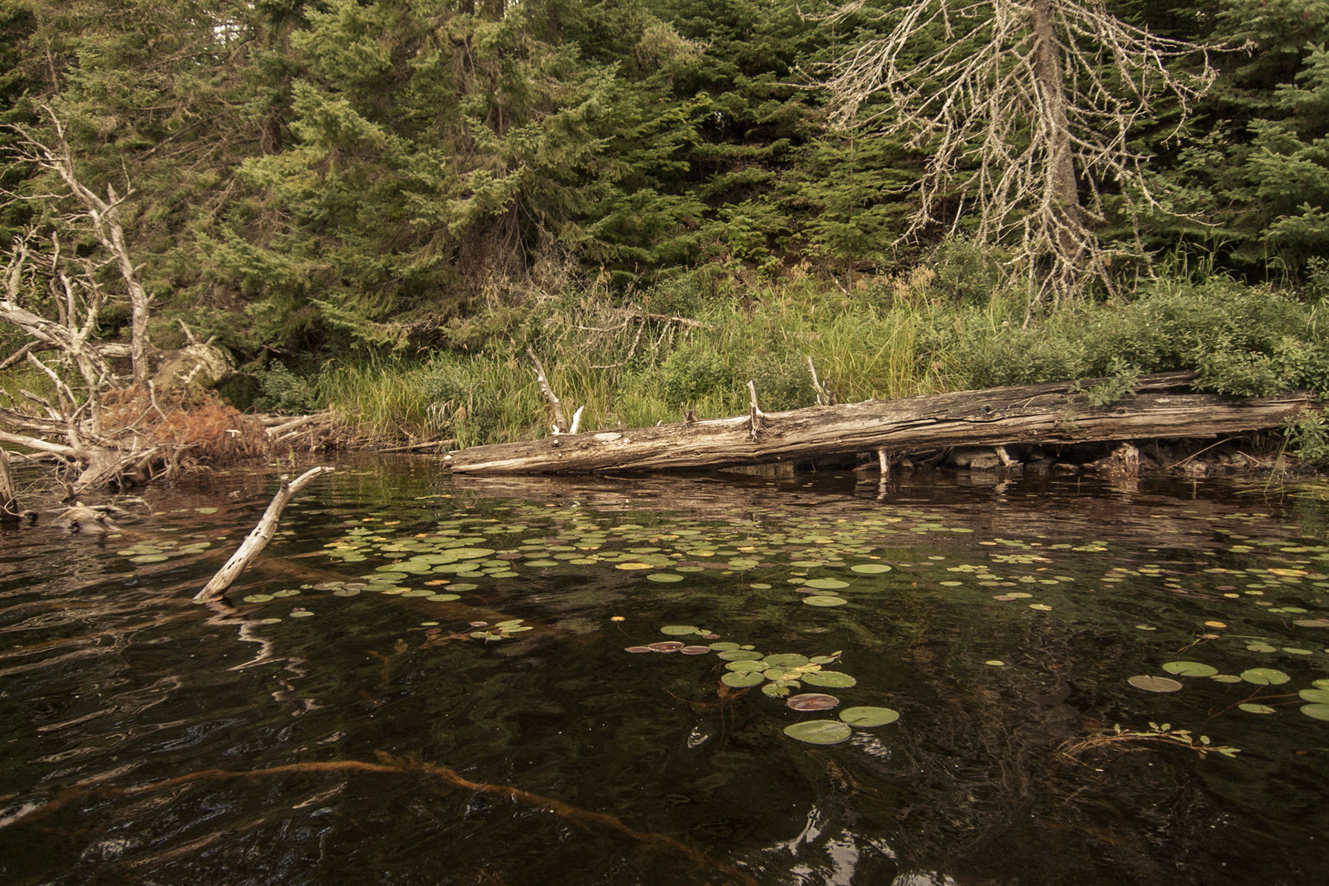 Lake One, Boundary Waters Canoe Area Wilderness, Minnesota