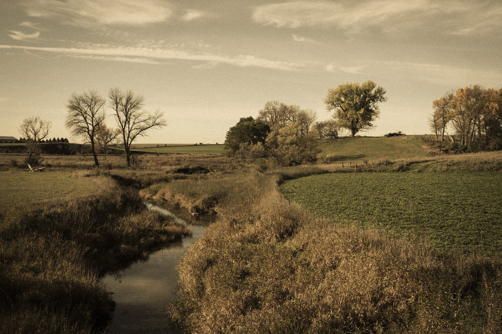 Petersburg township, Jackson County