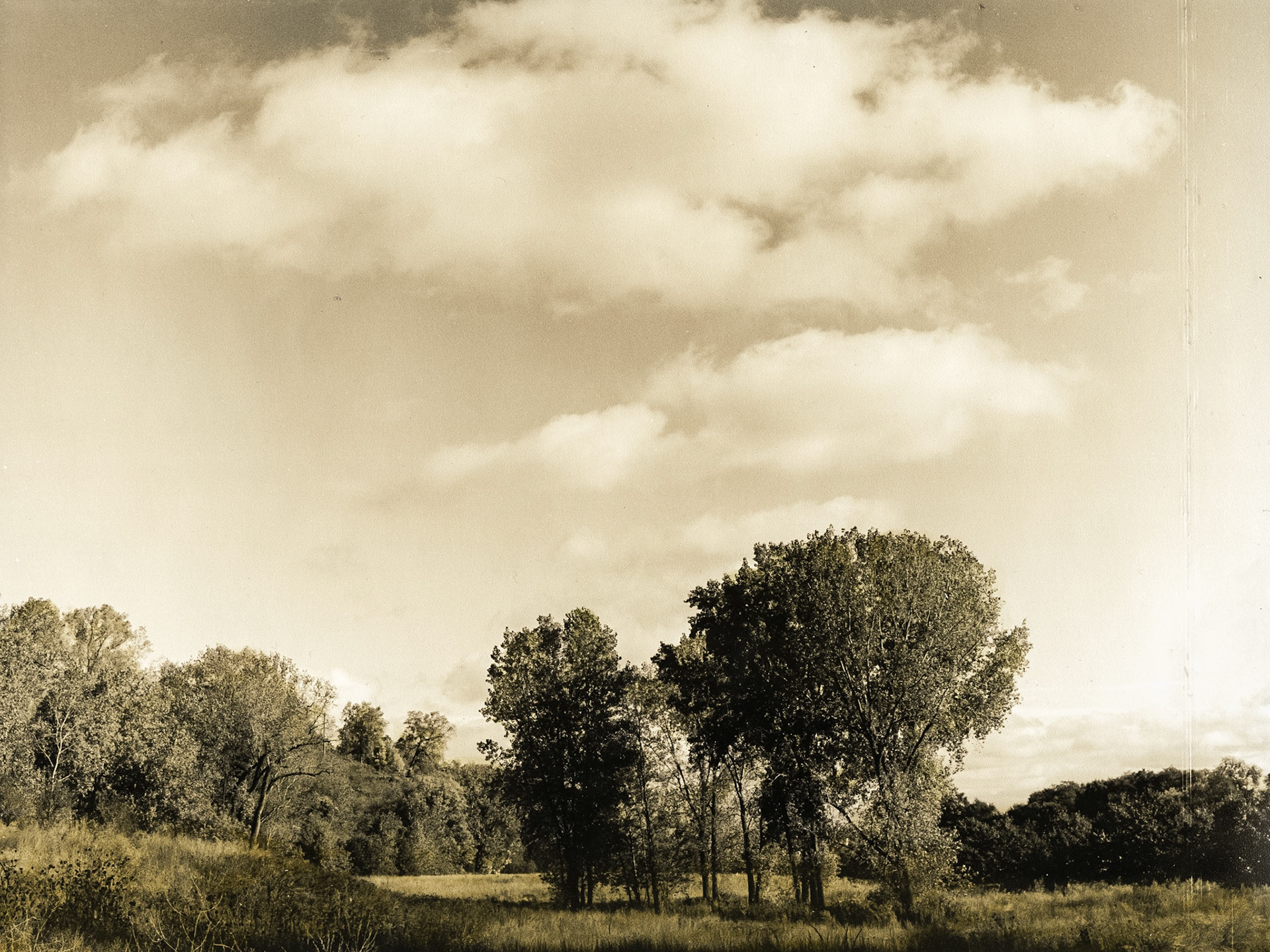 Bruce Vento Nature Sanctuary, St. Paul, MN