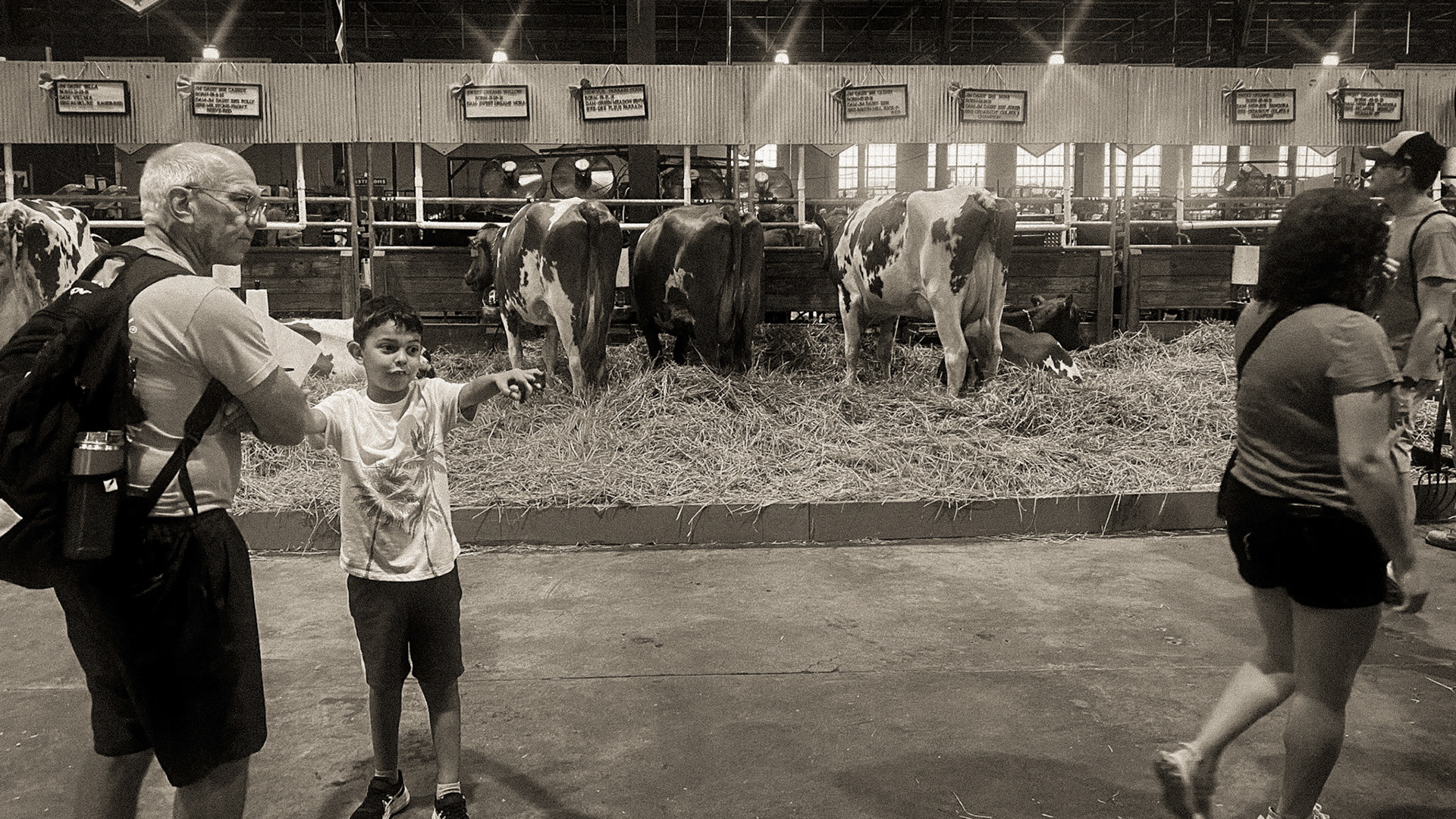 Minnesota State Fair