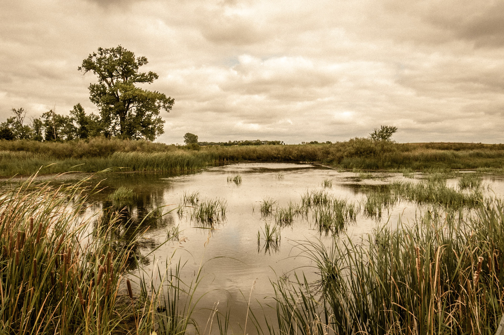 Minneota Township, Jackson County, Minnesota, 2013-036