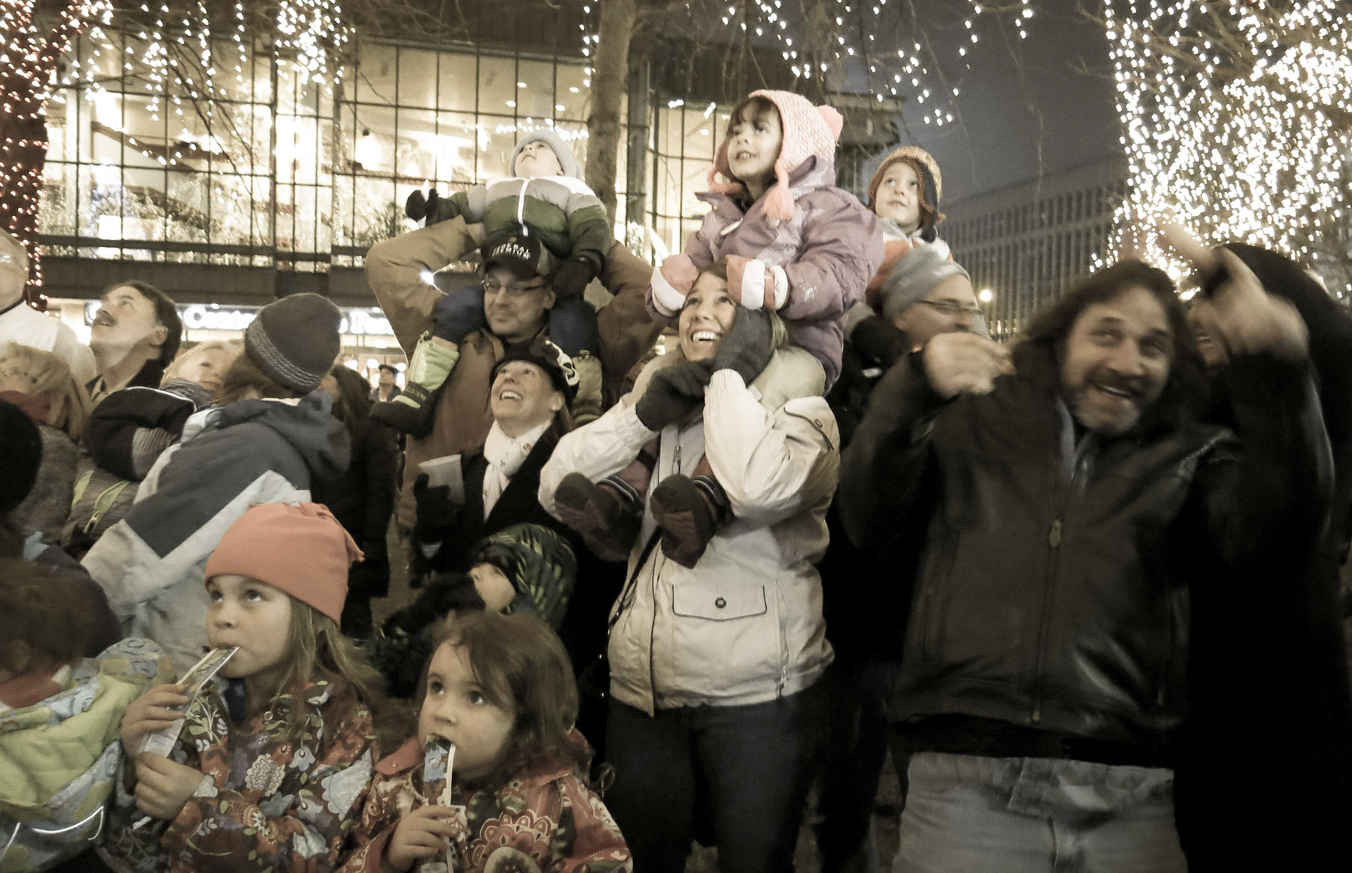 Rice Park, Tree Lighting, St. Paul, MN