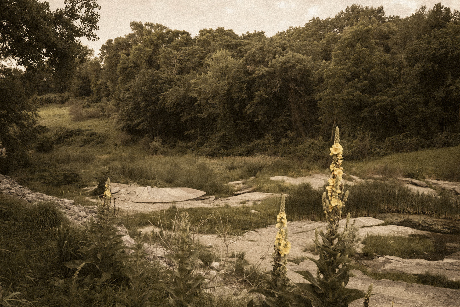 Devonian Fossil Gorge, Johnson County Iowa