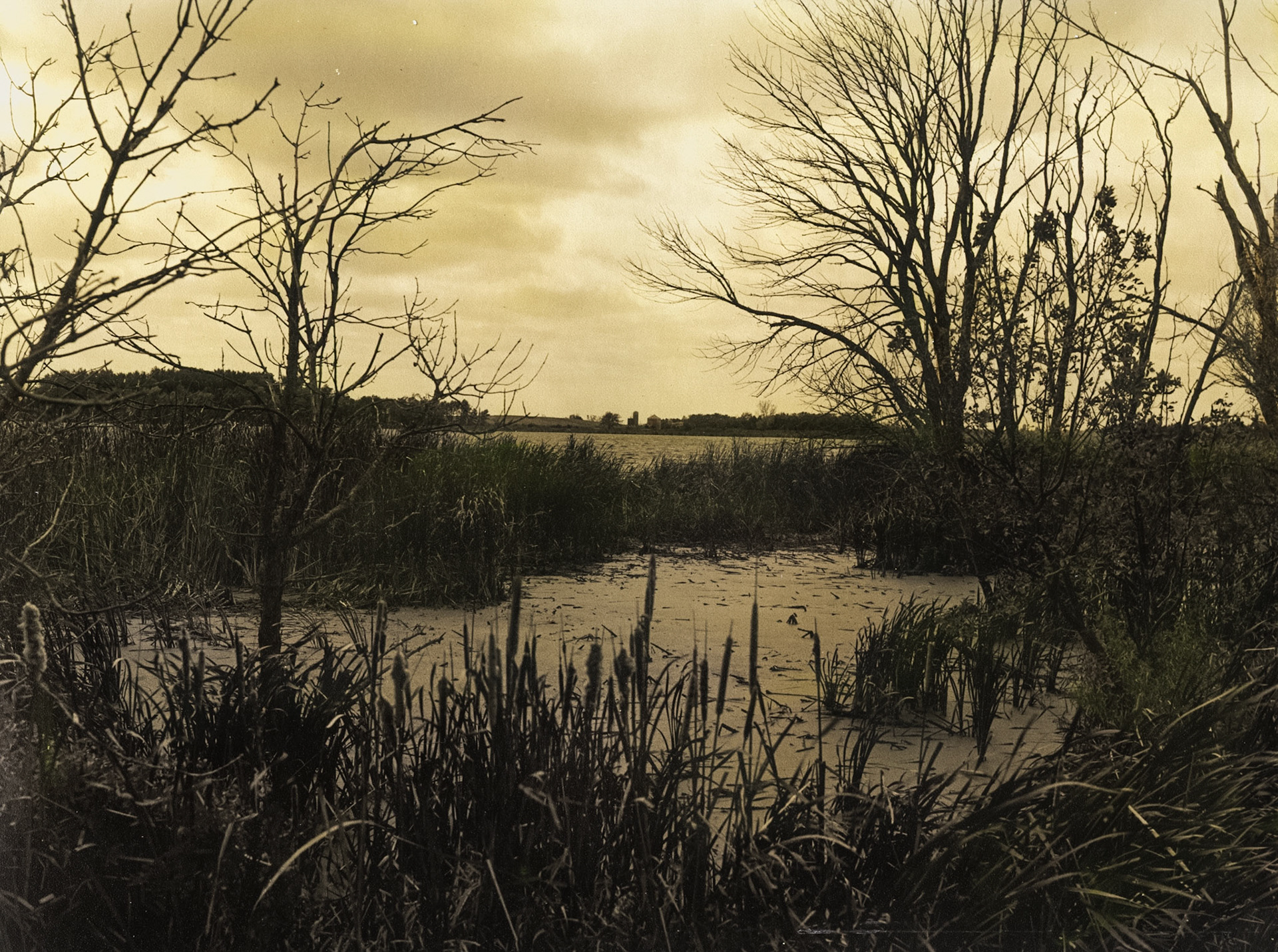 Skunk Lake, Jackson County, Minnesota