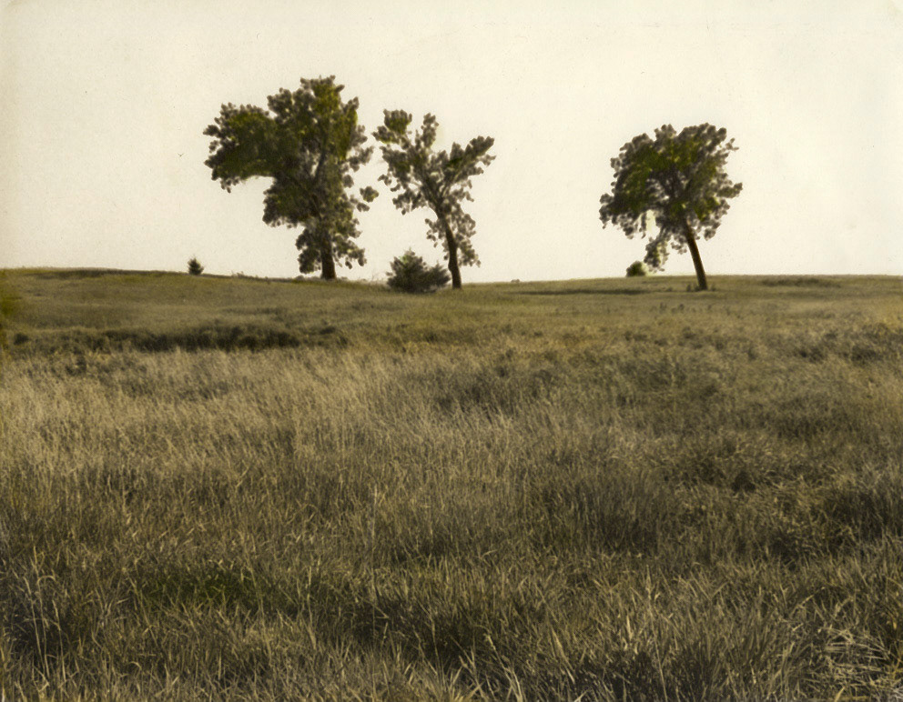 Landscape, Minnesota