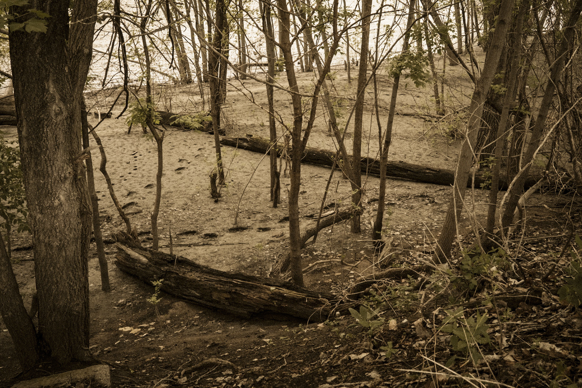 Mississippi National River Area, St. Paul, MN