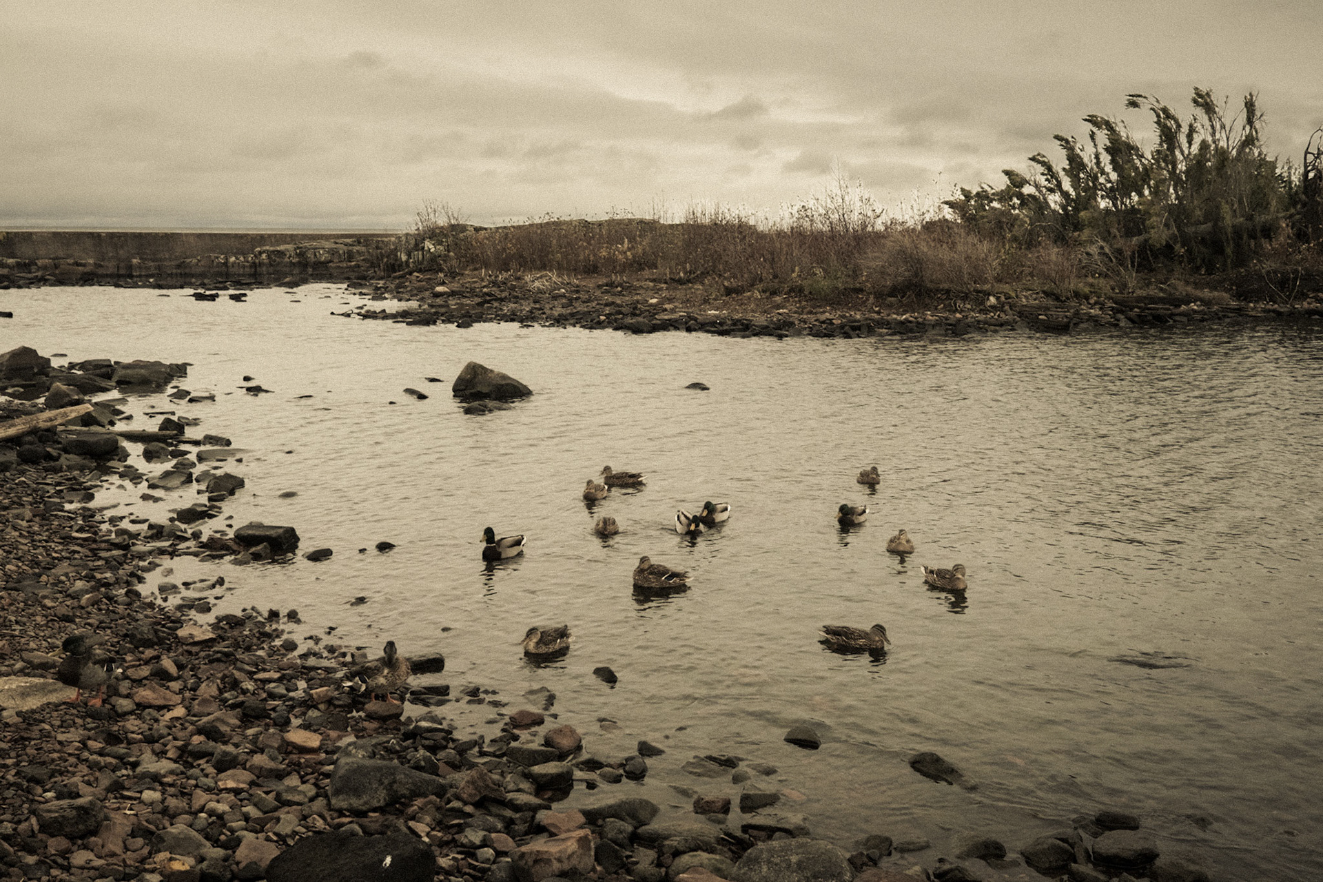 Grand Marais Harbor, Grand Marais, Minnesota