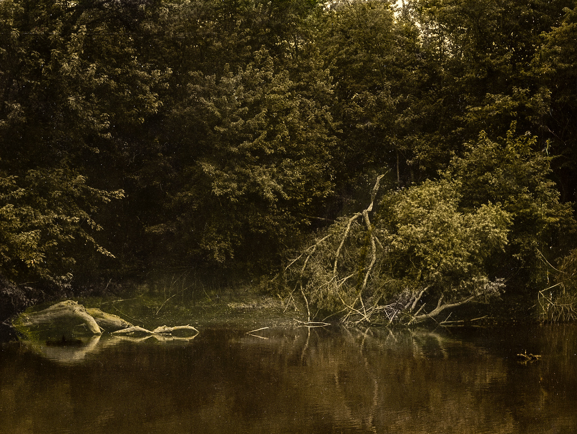Des Moines River, Petersburg, Minnesota, 2015-11-45