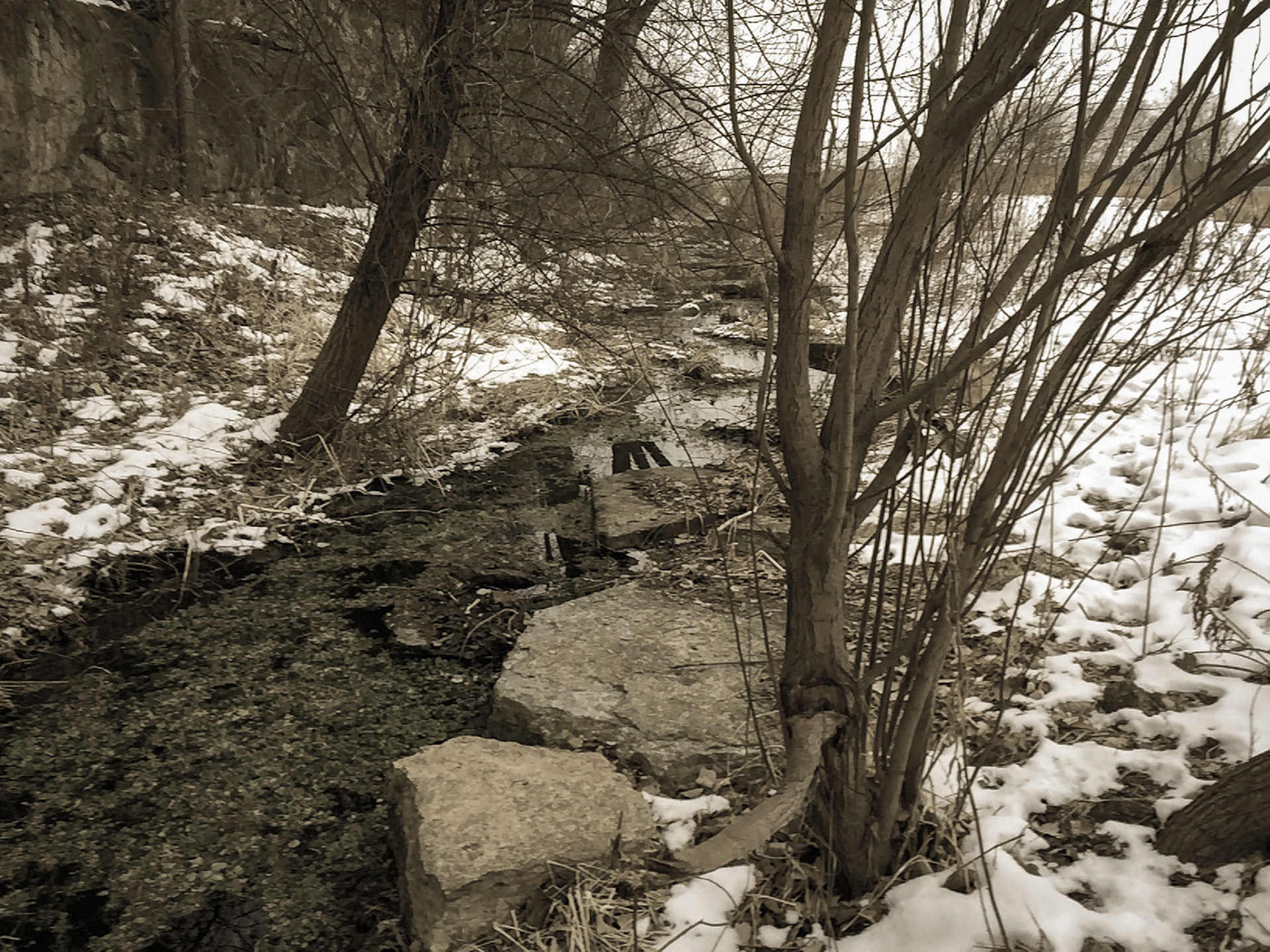 Bruce Vento Nature Sanctuary, Saint Paul, MN