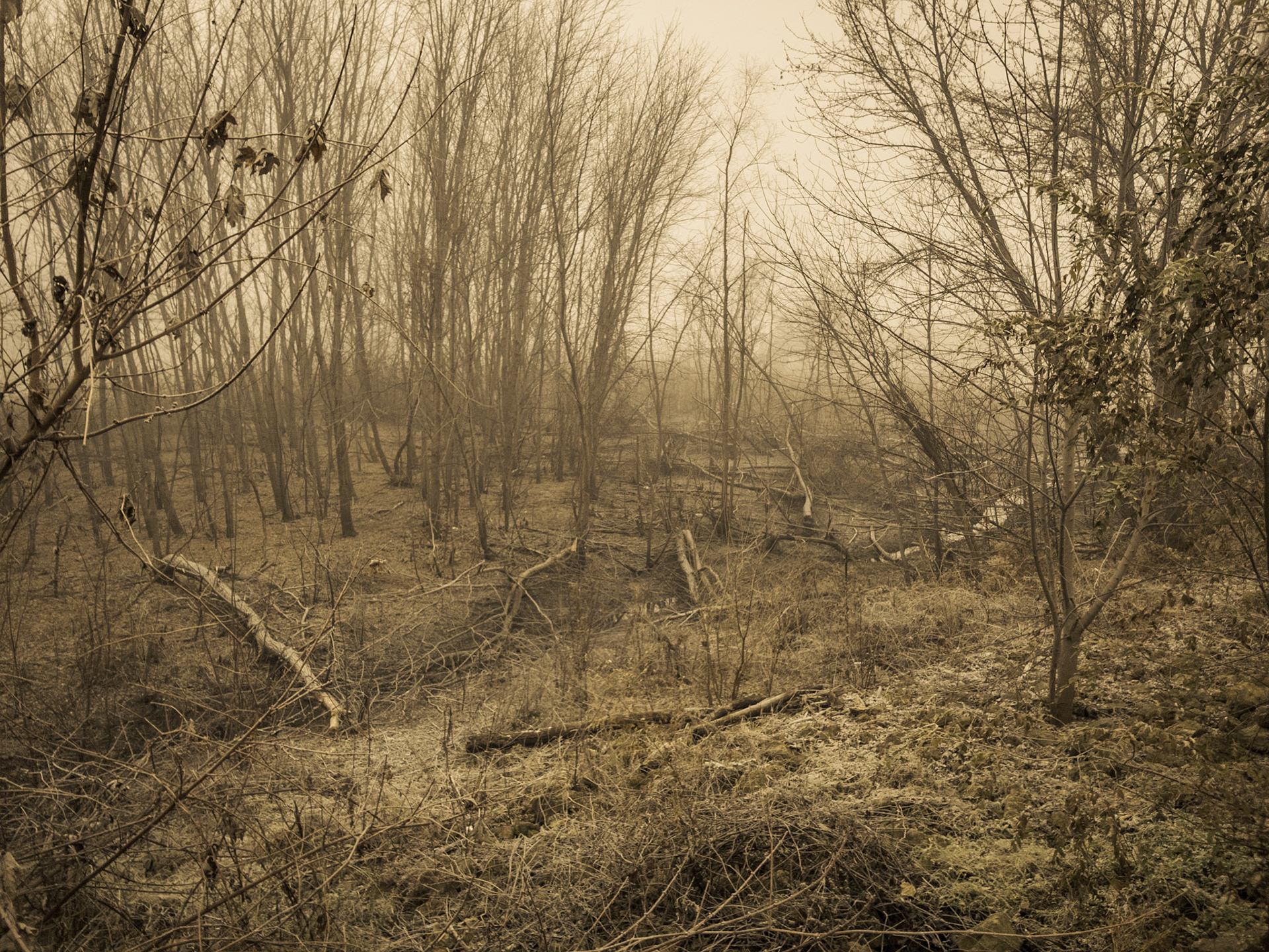 Mississippi National River and Recreation Area, 2016.