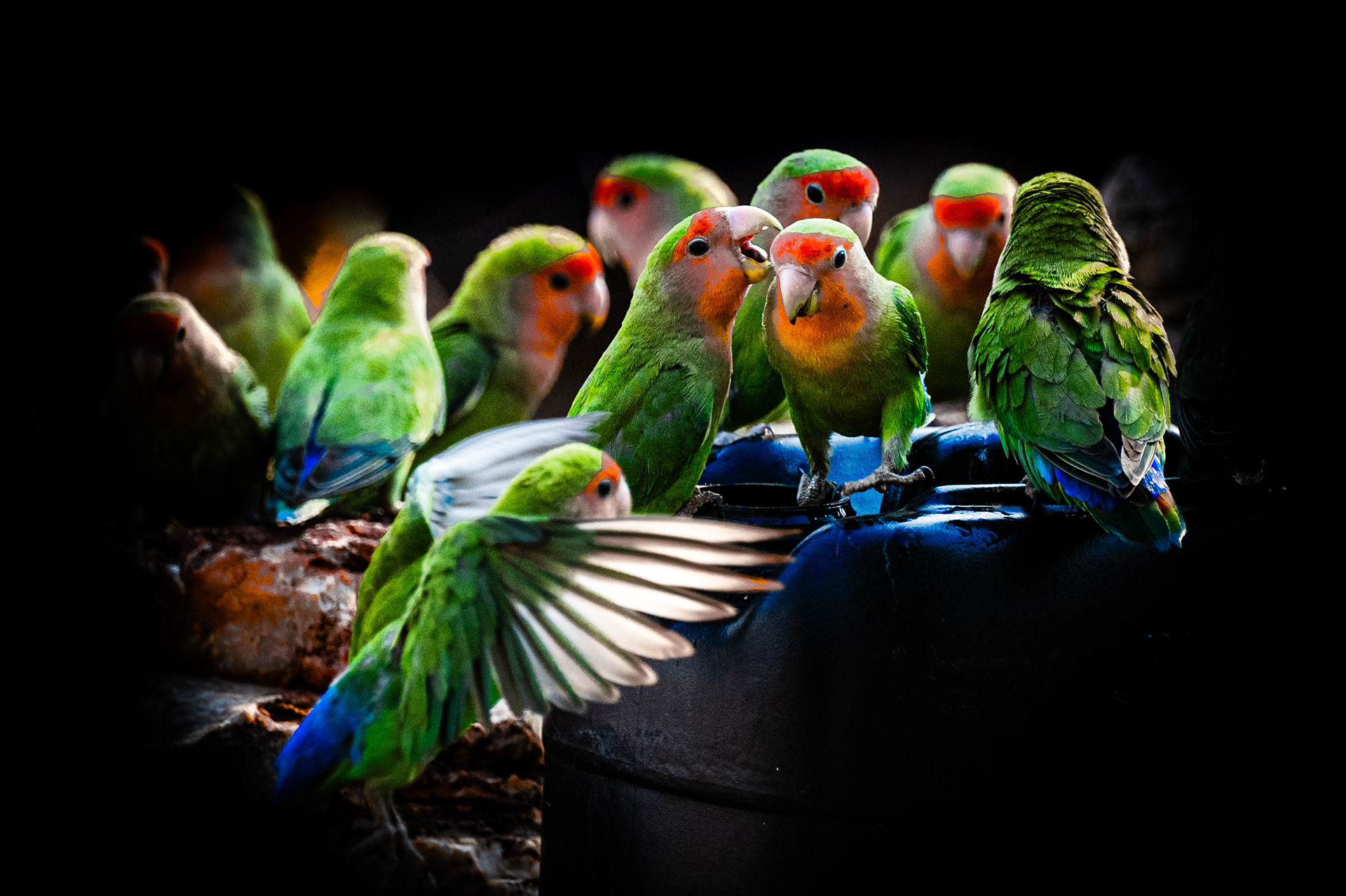 CONFIDENCES