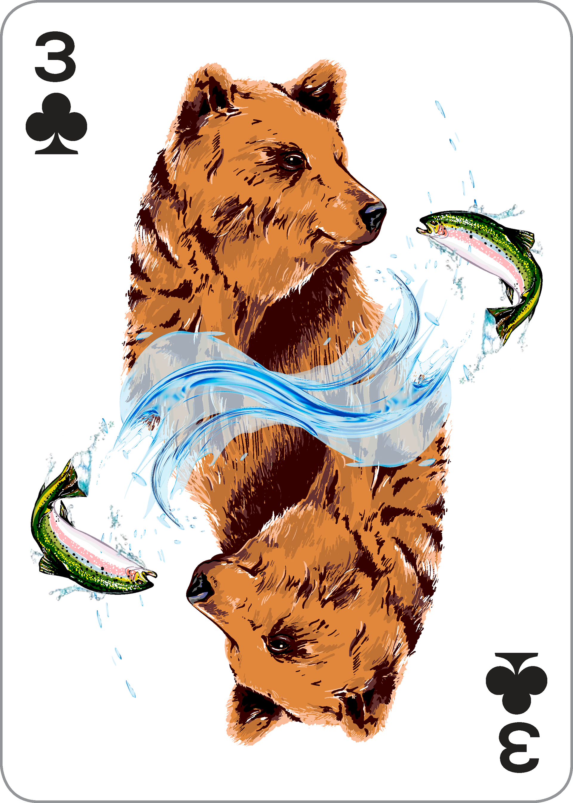 Whatever Suits You Playing Cards: Forest Animals in Symmetry-Cubs