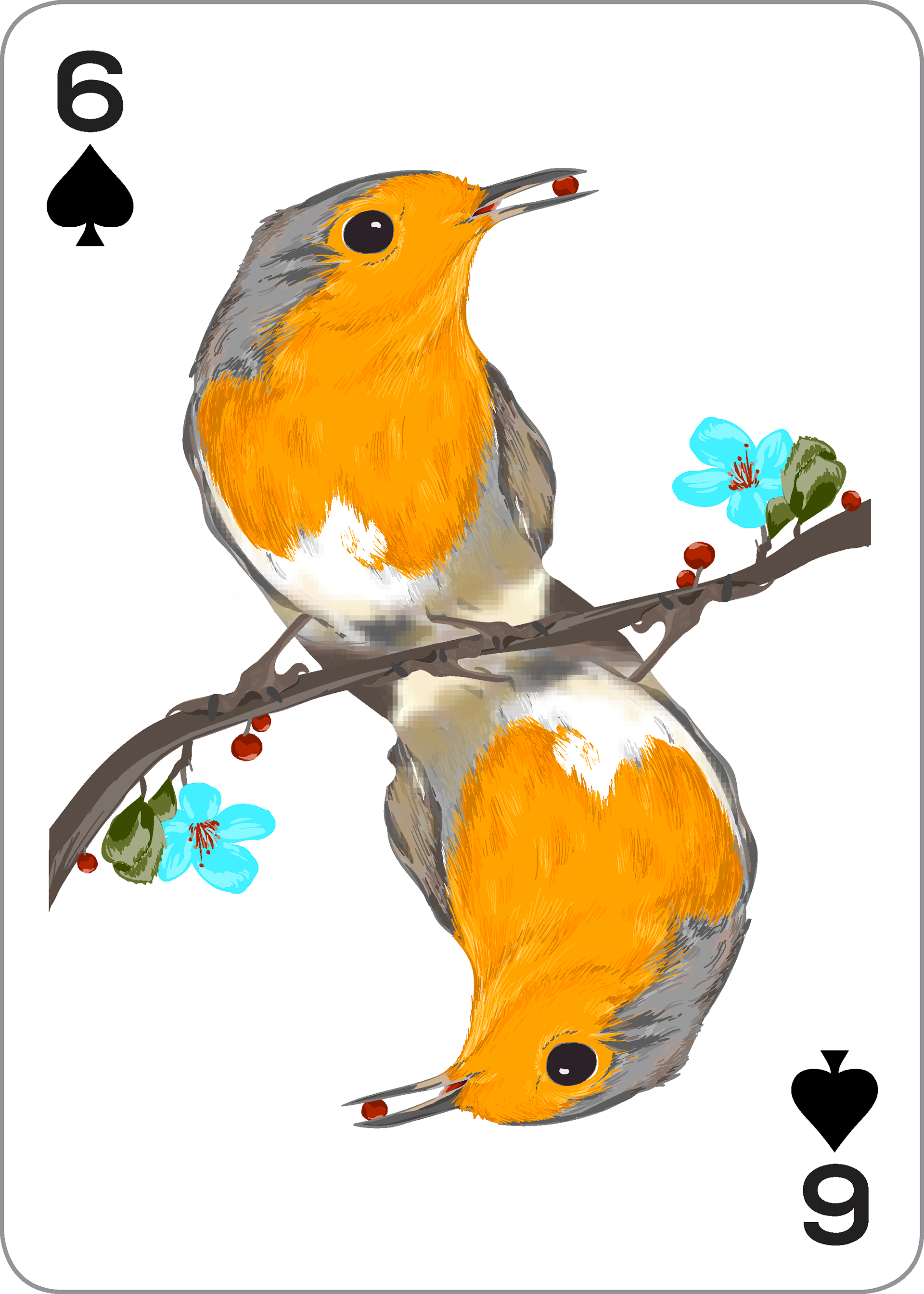 Whatever Suits You Playing Cards: Forest Animals in Symmetry-Robin