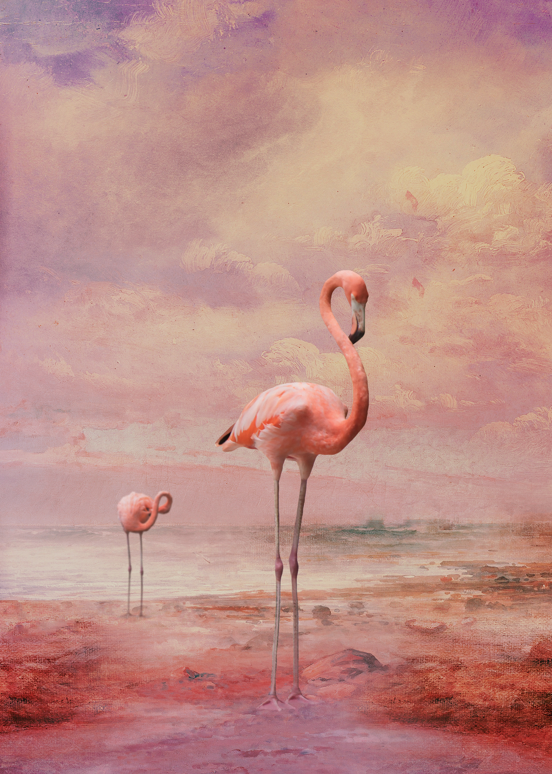On the seashore