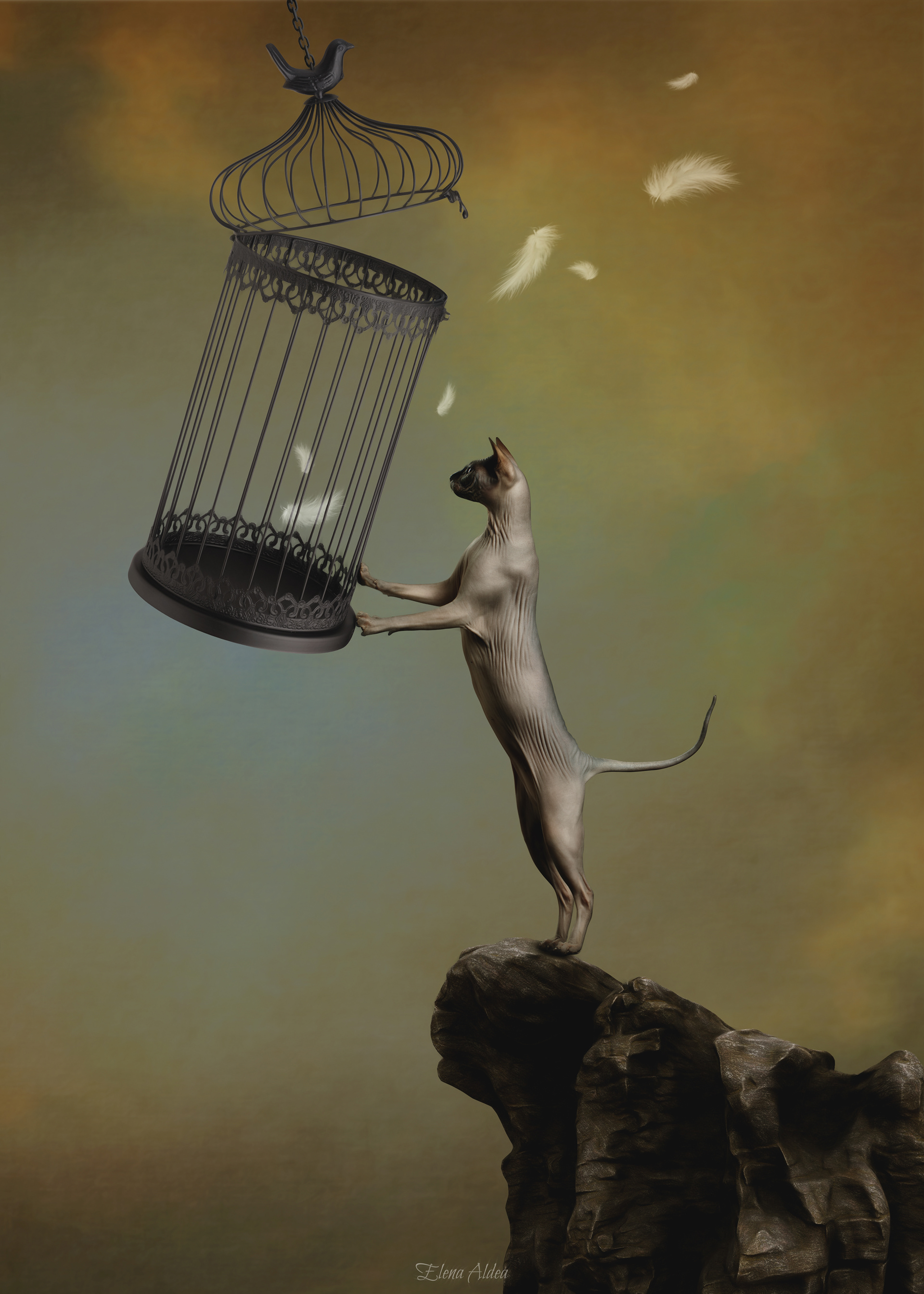 Empty cage