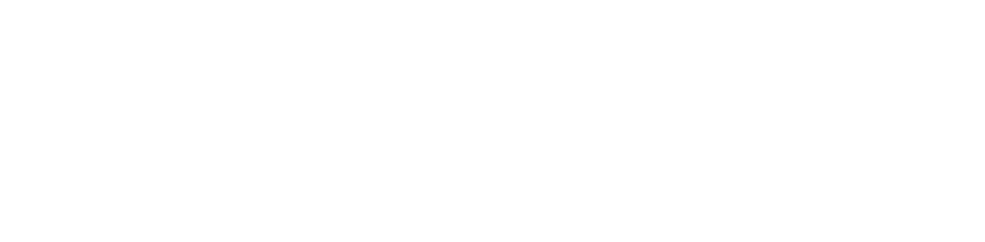 Elena Aldea