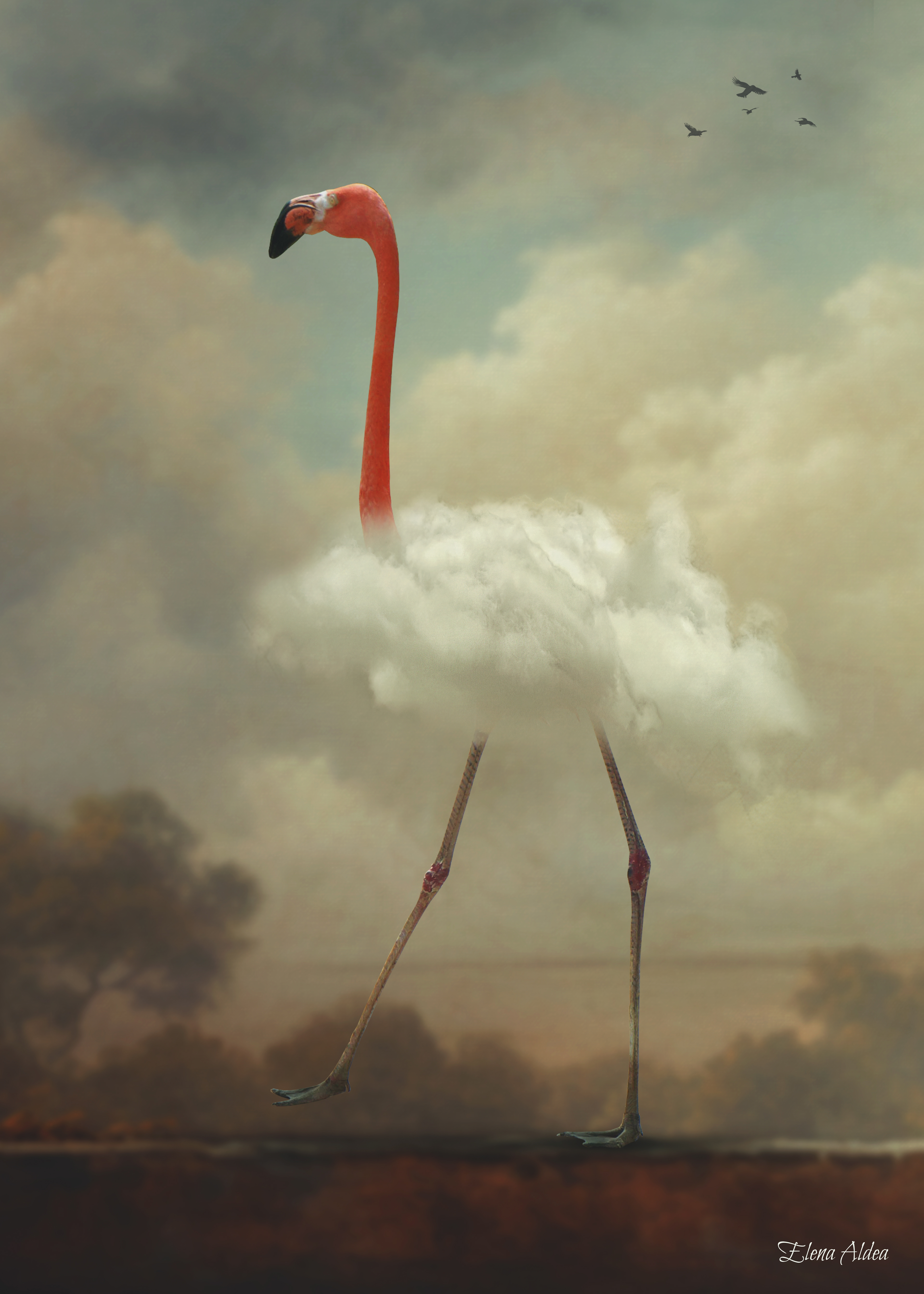 Cloud-Bodied, Wing-Footed