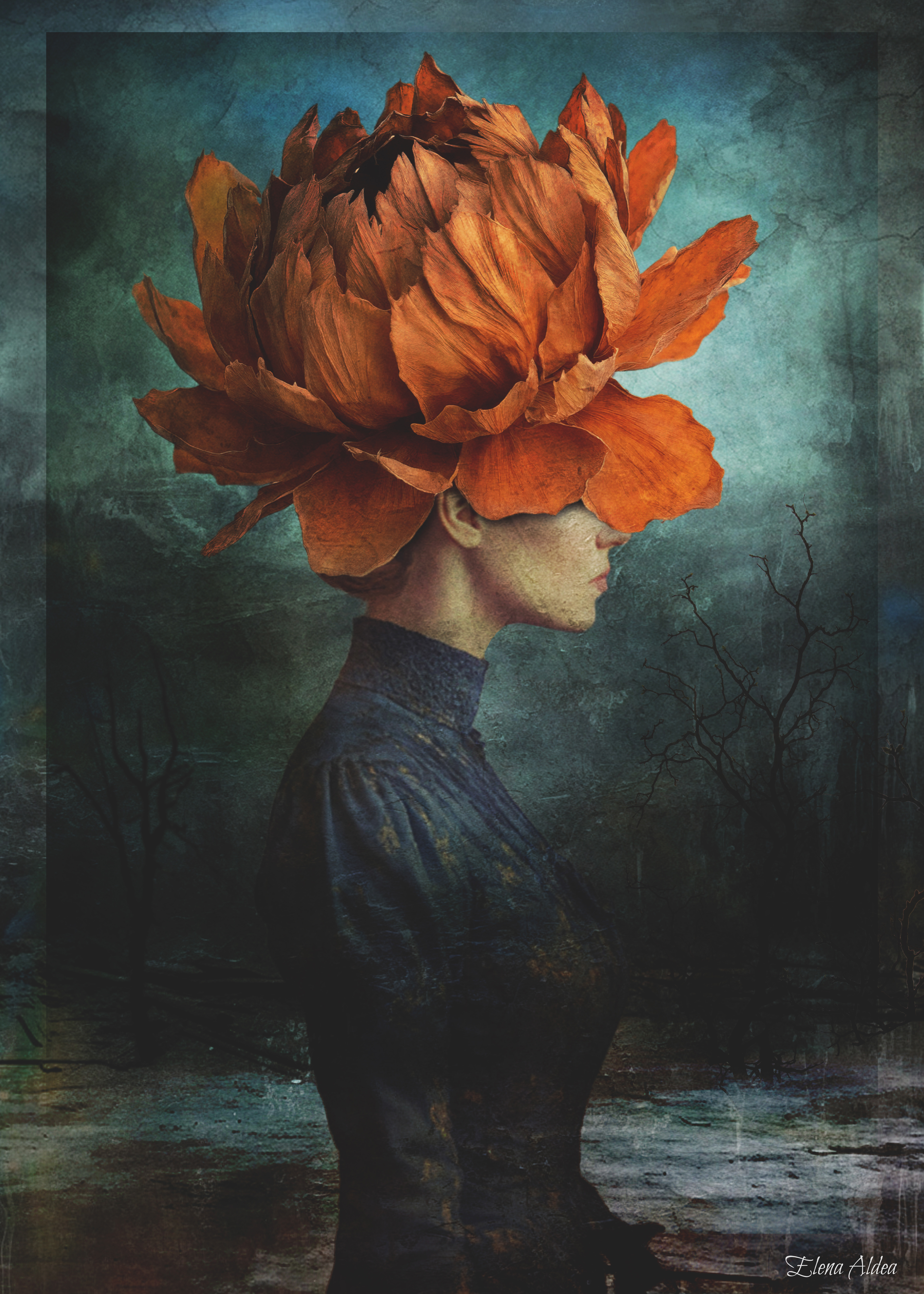 Veil of Silent Blossoms