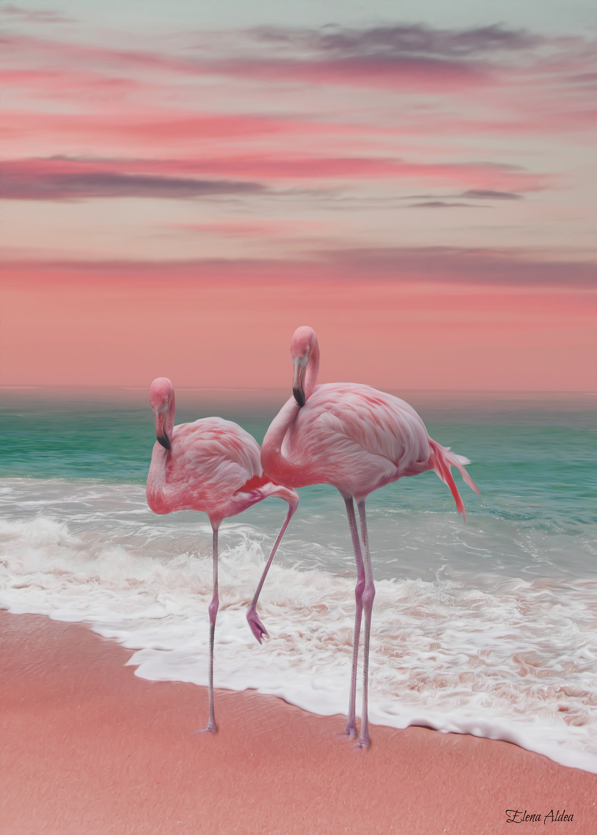 Flamingo friends