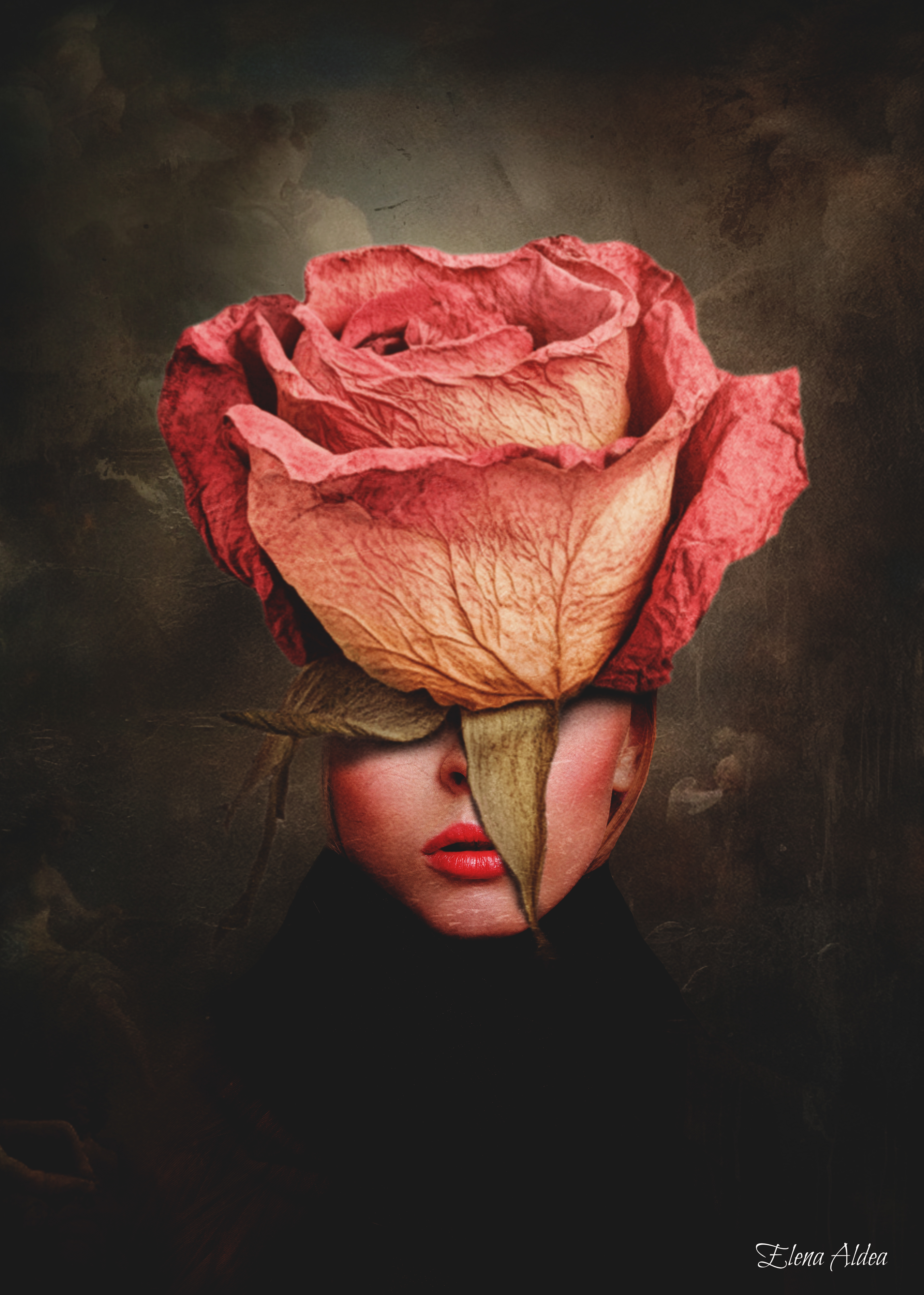 The Rose of Unspoken Secrets