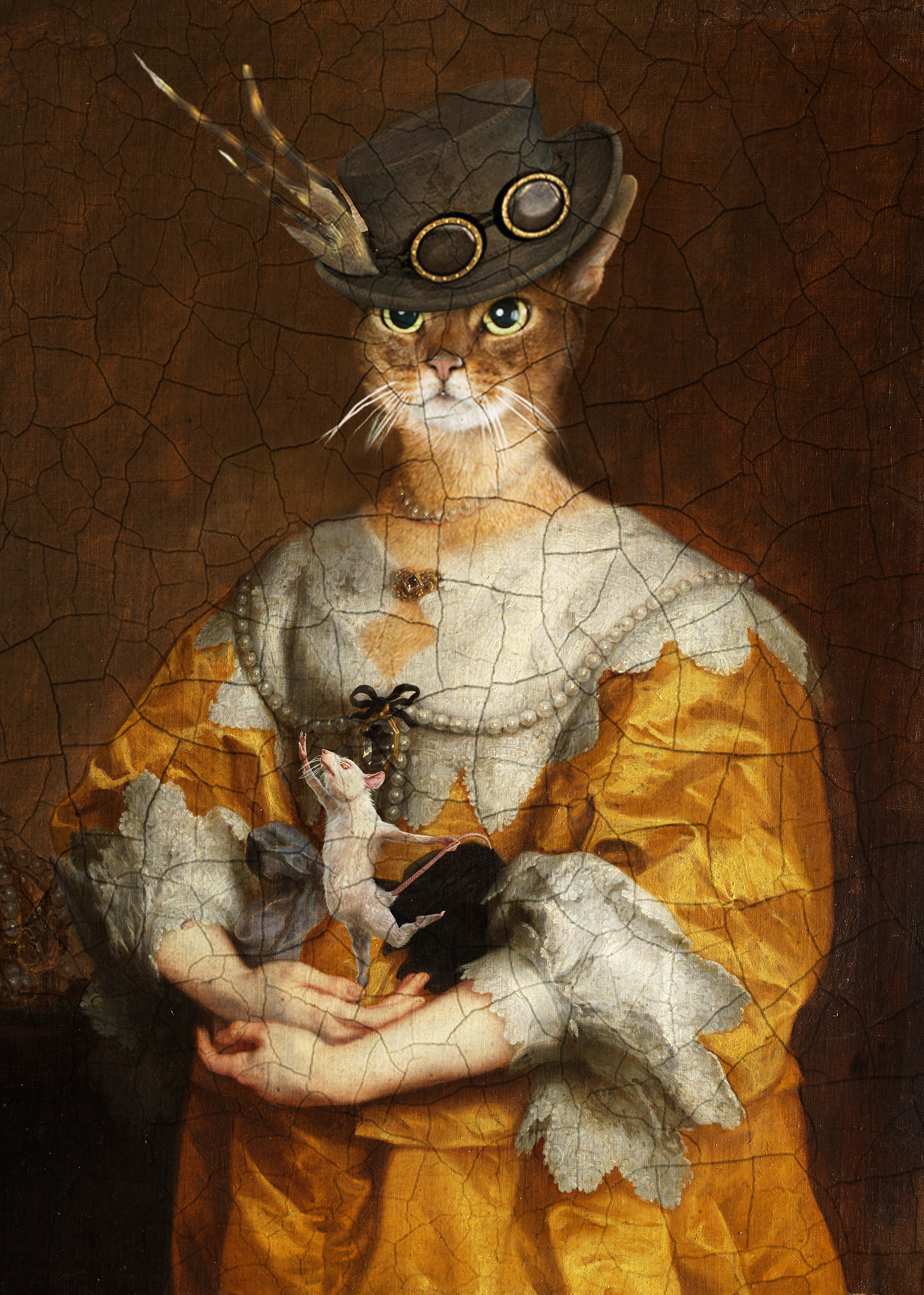 The cat and the rat